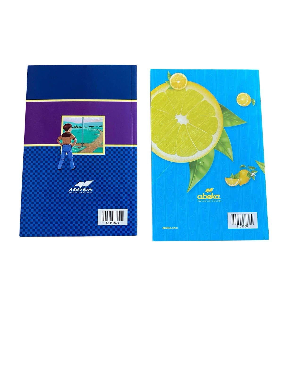 Lot Of 2 Abeka 3rd Grade On the Bright Side & Crossroads Homeschool Reader
