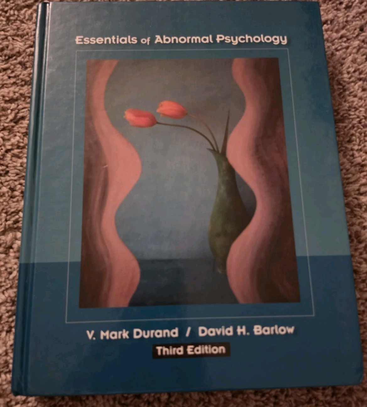Abnormal Psychology by V. Mark Durand and David H. Barlow (2002, Hardcover)