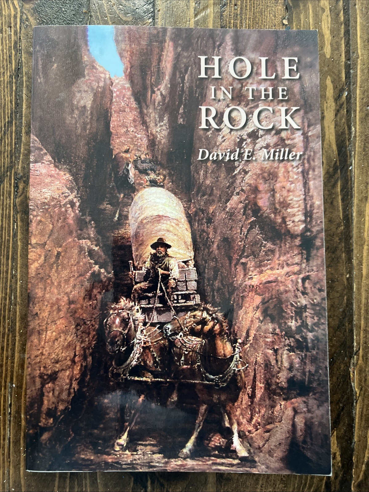 Hole in the Rock by David E. Miller (Trade Paperback)