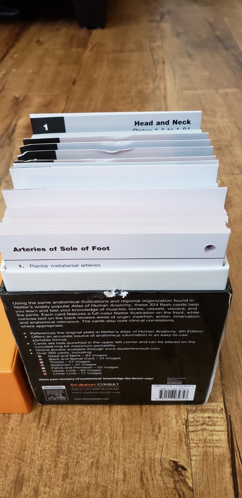 NETTER’S ANATOMY Flash Cards Second Edition By John T. Hansen