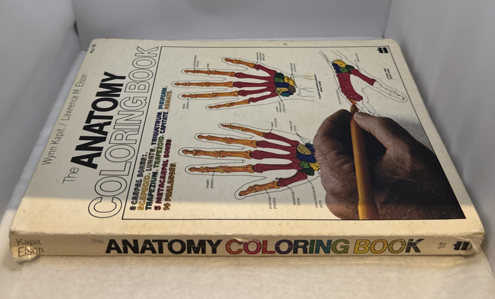 The Anatomy Coloring Book Paperback by Wynn Kapit Lawrence M. Elson – Spine Wear