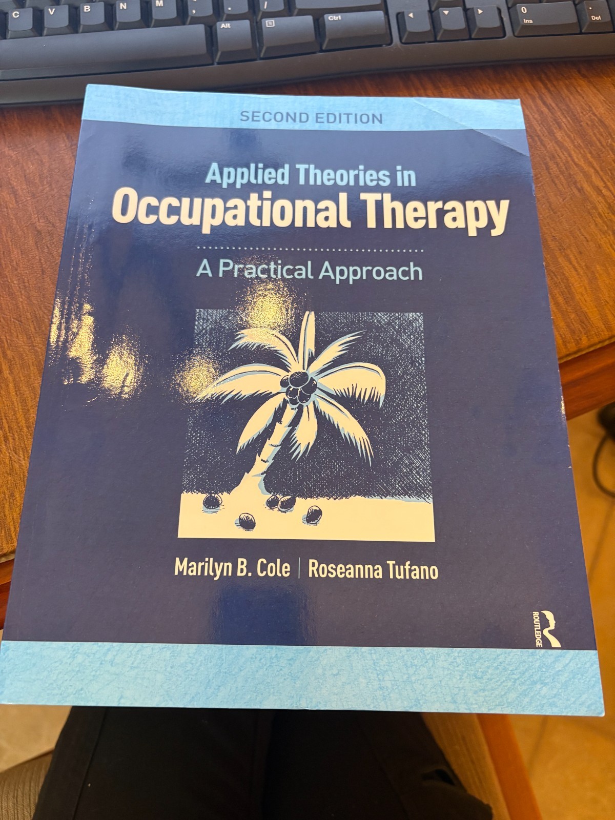 Applied Theories in Occupational Therapy : A Practical Approach by Marilyn B….