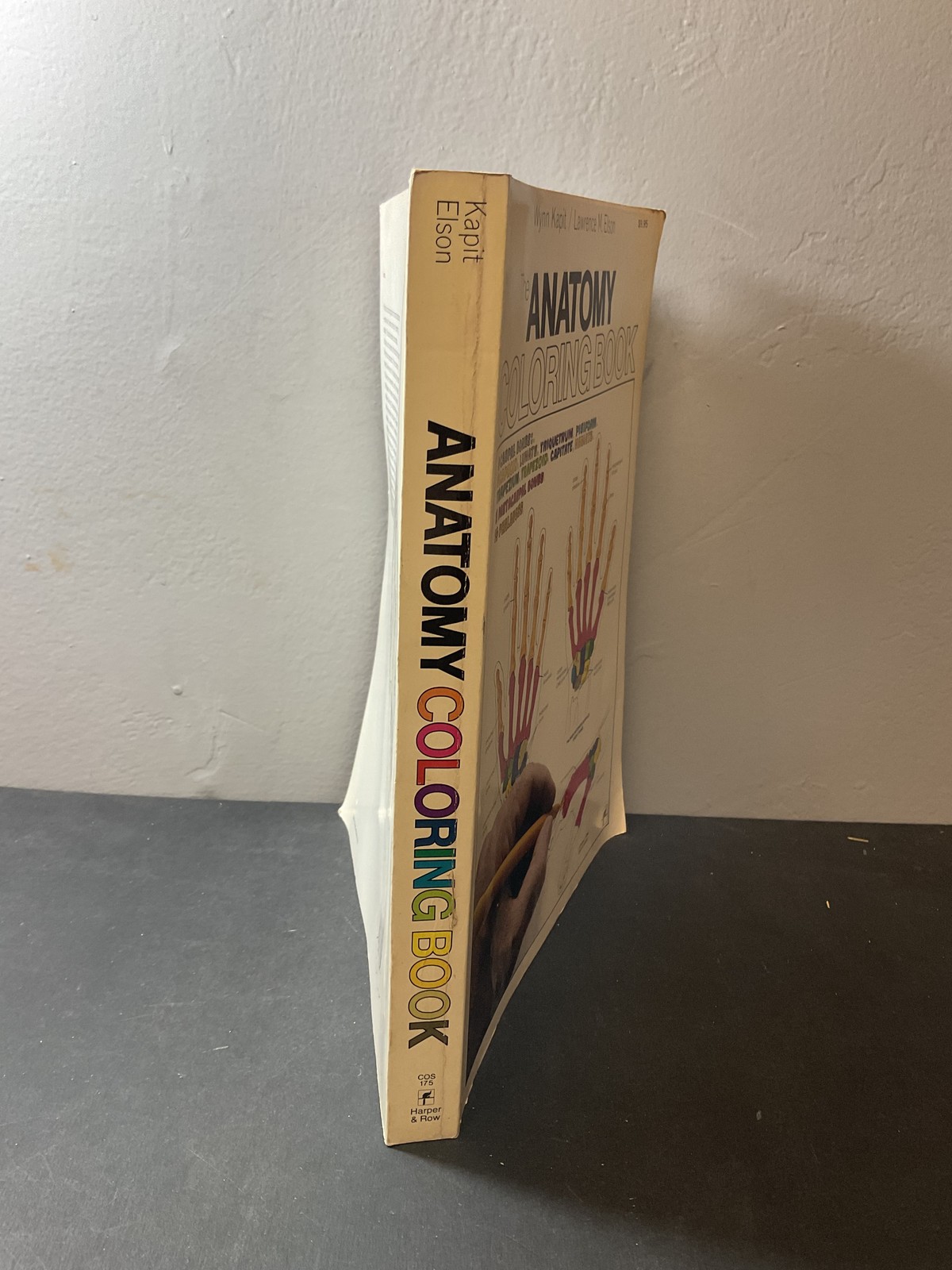 The Anatomy Coloring Book by Wynn Kapit & Lawrence M. Elson 1977 Harper & Row