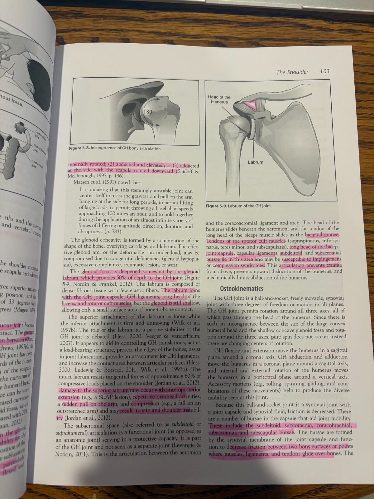Kinesiology for Occupational Therapy by Melinda Rybski (2019, Trade Paperback)