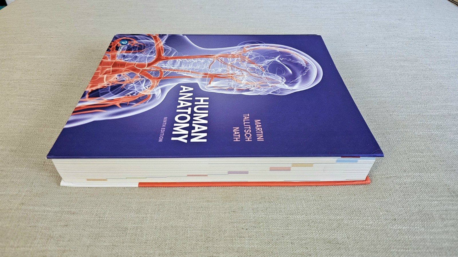 Human Anatomy Robert Tallitsch, Judi Nath & Frederic H. Martini