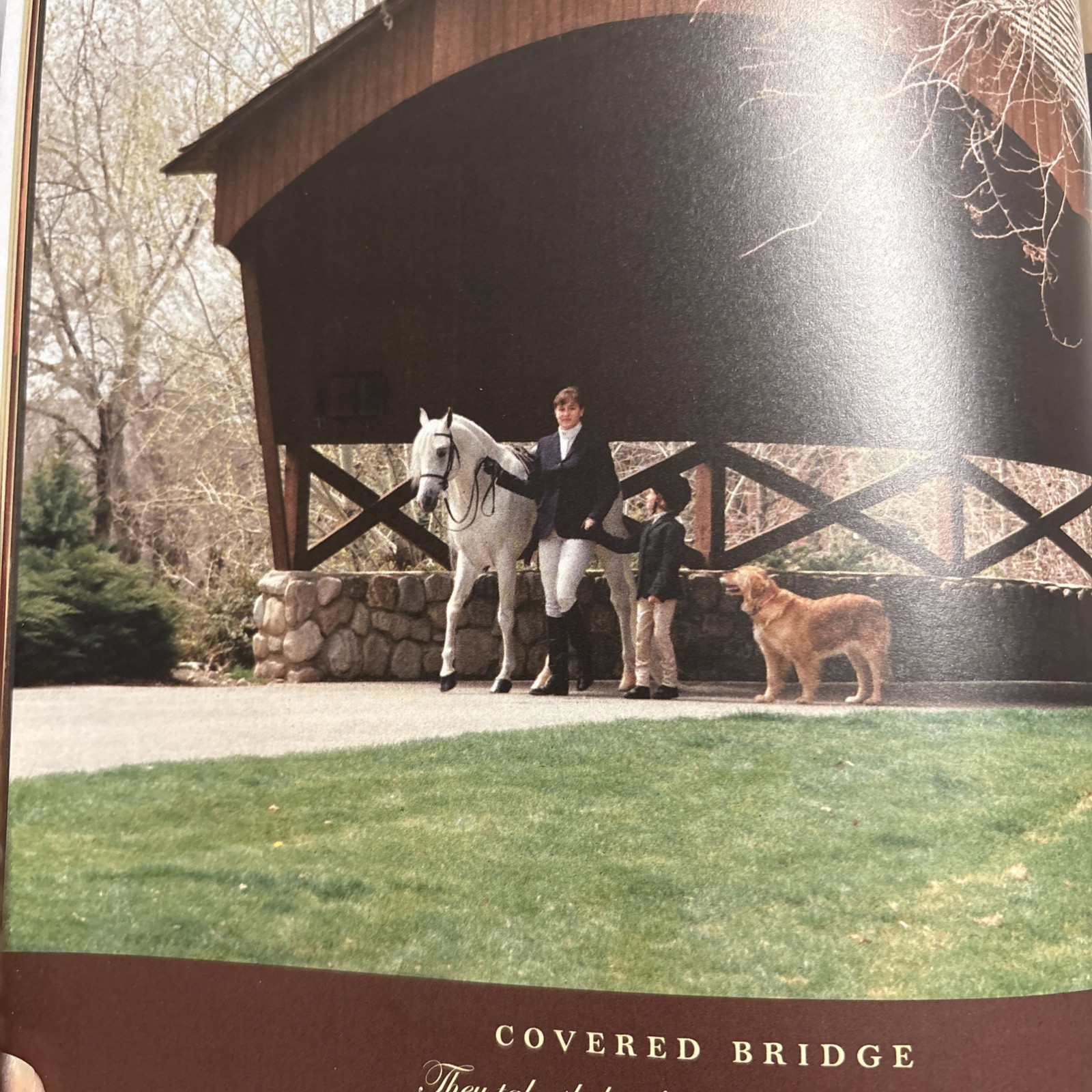 Treasures of a Lifetime by Polly Knoll A Look Into Heart & Soul Of Arabian Horse