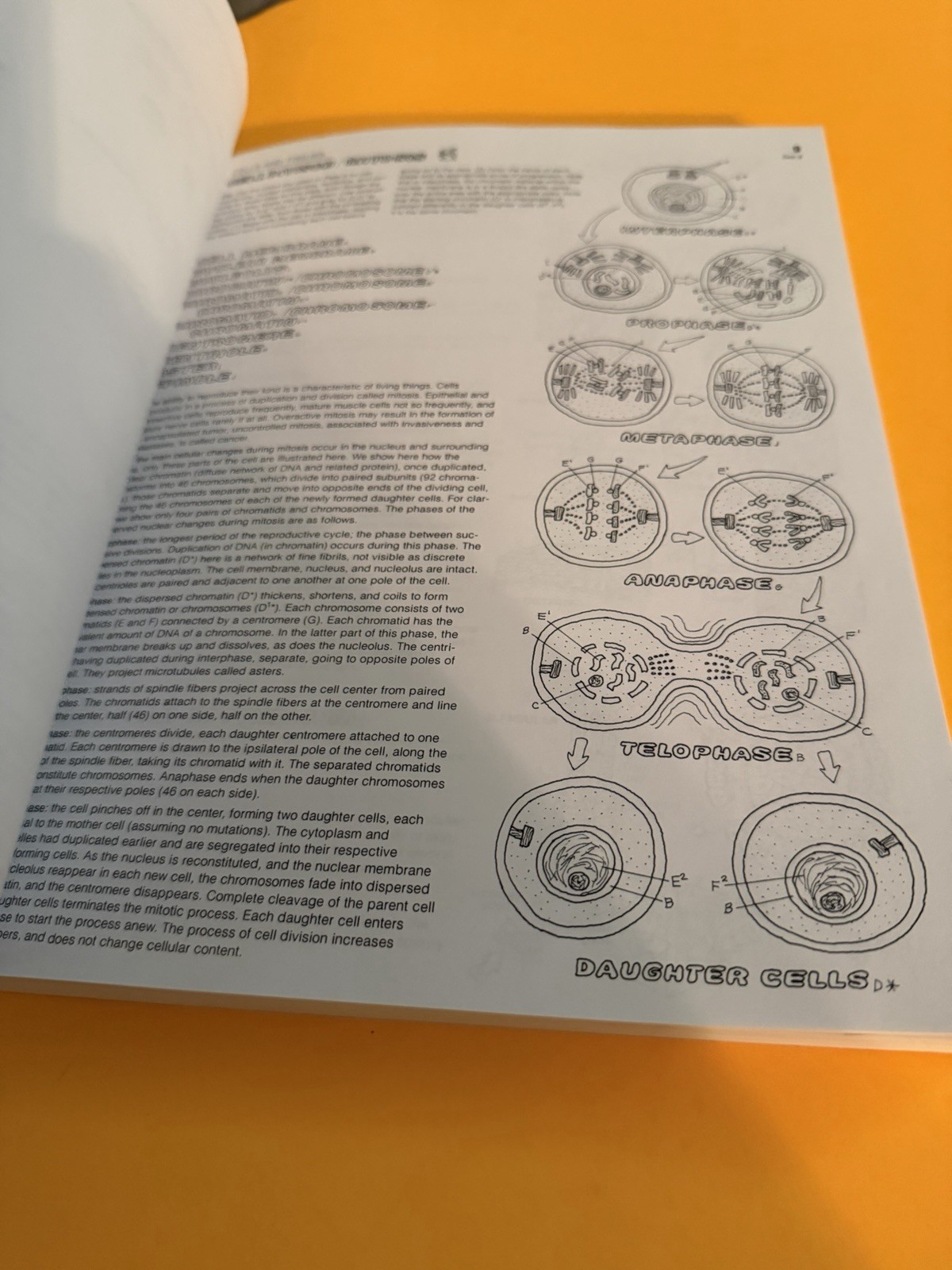 The Anatomy Coloring Book by Lawrence M. Elson Please Read Description