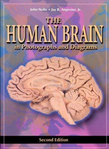 The Human Brain in Photographs and Diagrams by Angevine, Jay B.; Nolte, John