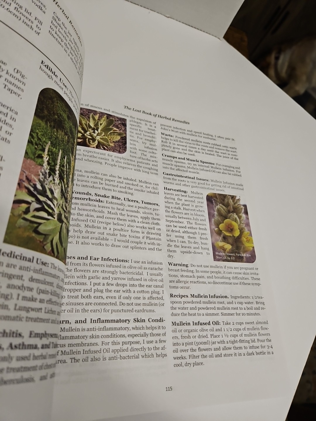 Lost Book of Remedies by Nicole Apelian and Claude Davis Sr.
