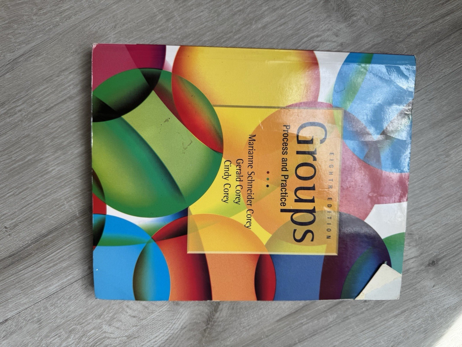Groups: Process and Practice by Gerald Corey Marianne Schneider 8th Edition