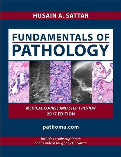 Fundamentals of Pathology – Paperback, by Sattar Husain A. – Acceptable p