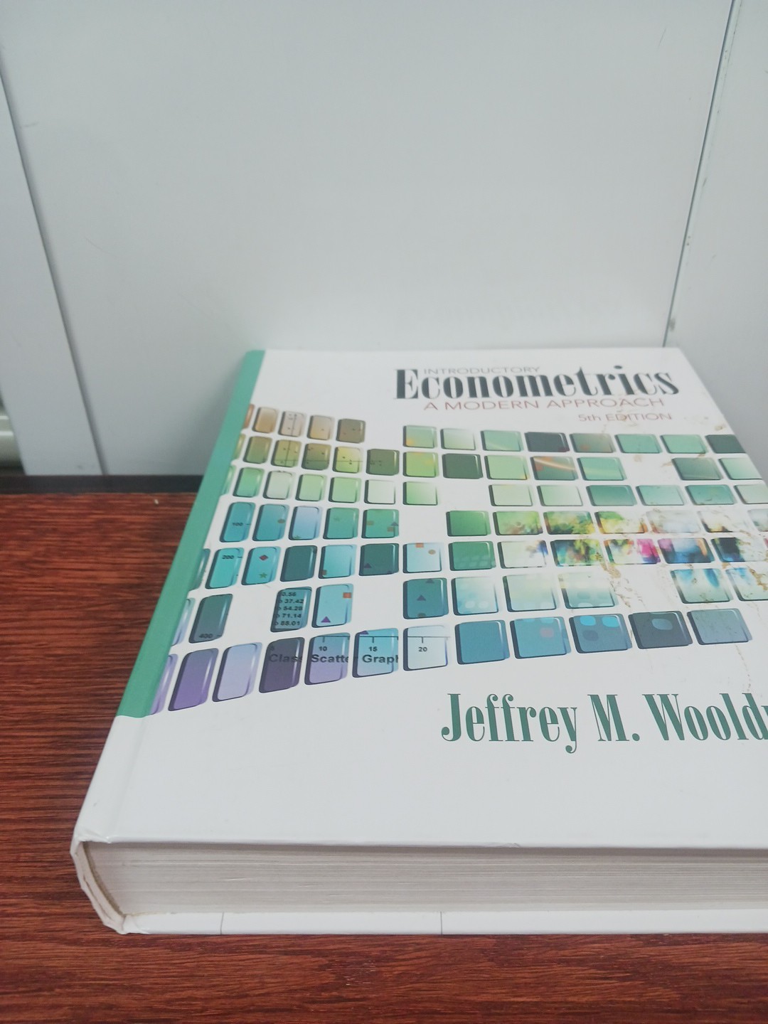 Introductory Econometrics: A Modern Approach (Upper Level Economics Titles)