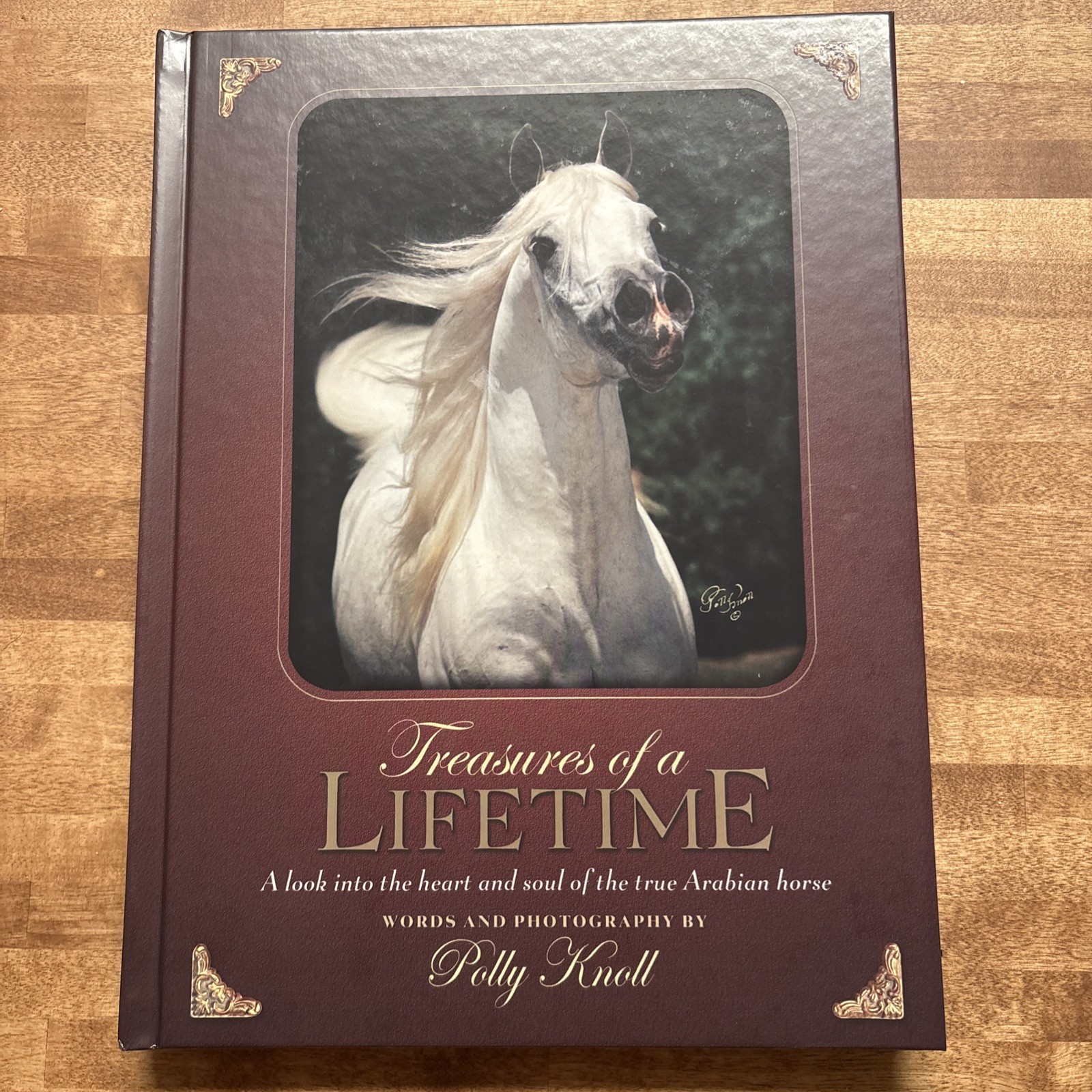 Treasures of a Lifetime by Polly Knoll A Look Into Heart & Soul Of Arabian Horse
