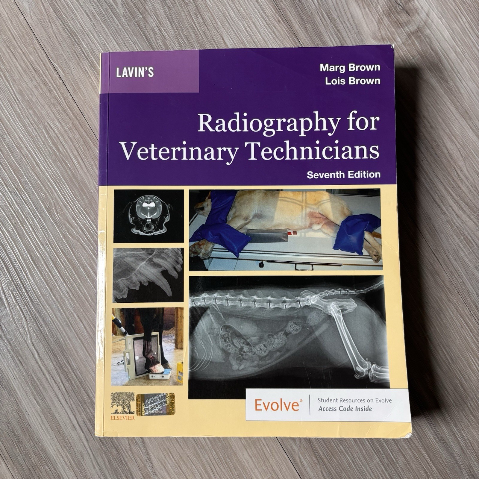 Elsevier Lavin’s Radiography for Veterinary Technicians 7th Ed Textbook, Brown