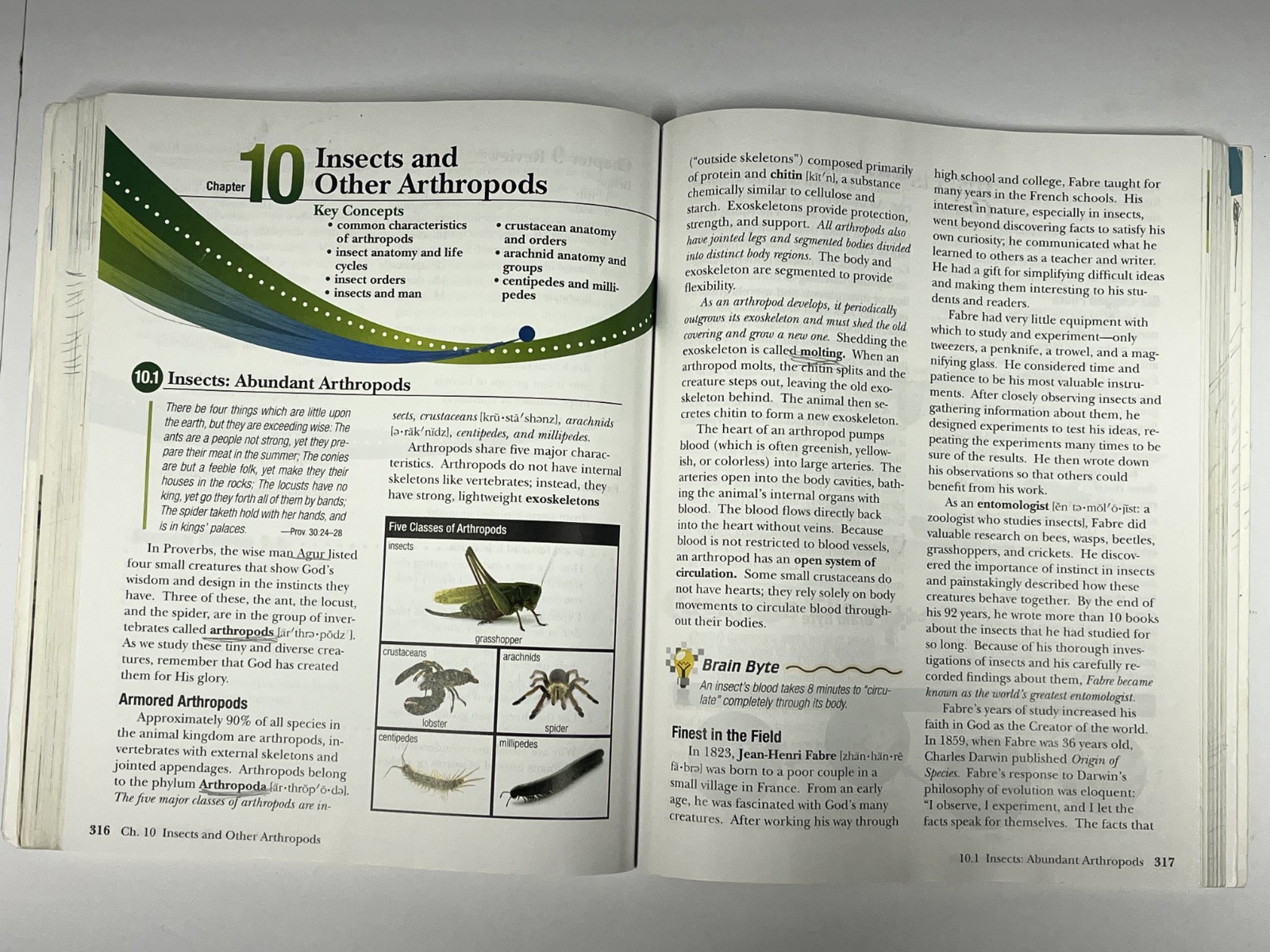 Abeka Science Order & Design textbook homeschool 7th grade
