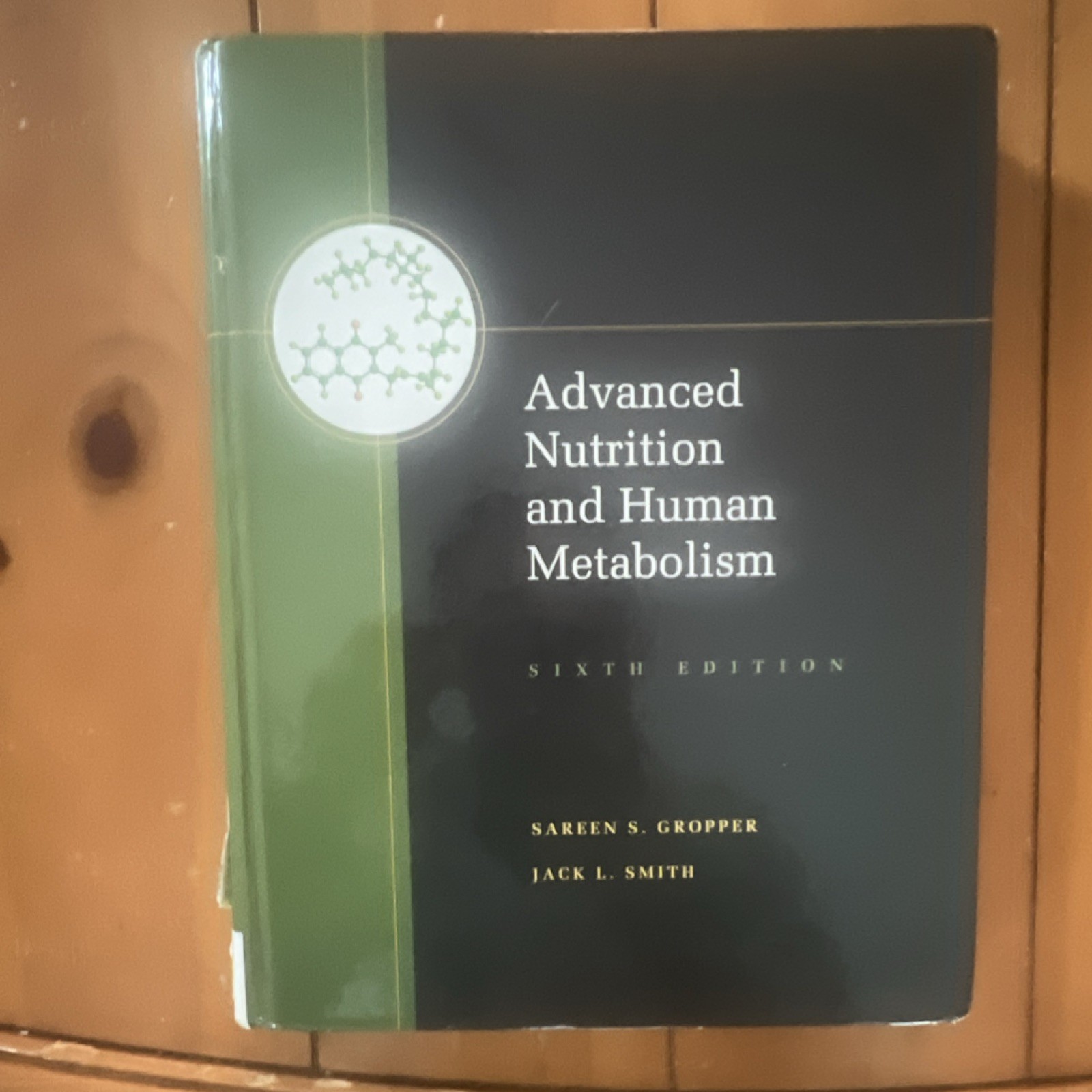 Advanced Nutrition and Human Metabolism 6th Ed Gropper & Smith 2009 Book