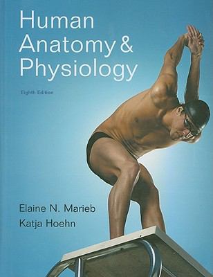 Human Anatomy & Physiology by Elaine N. Marieb; Katja Hoehn