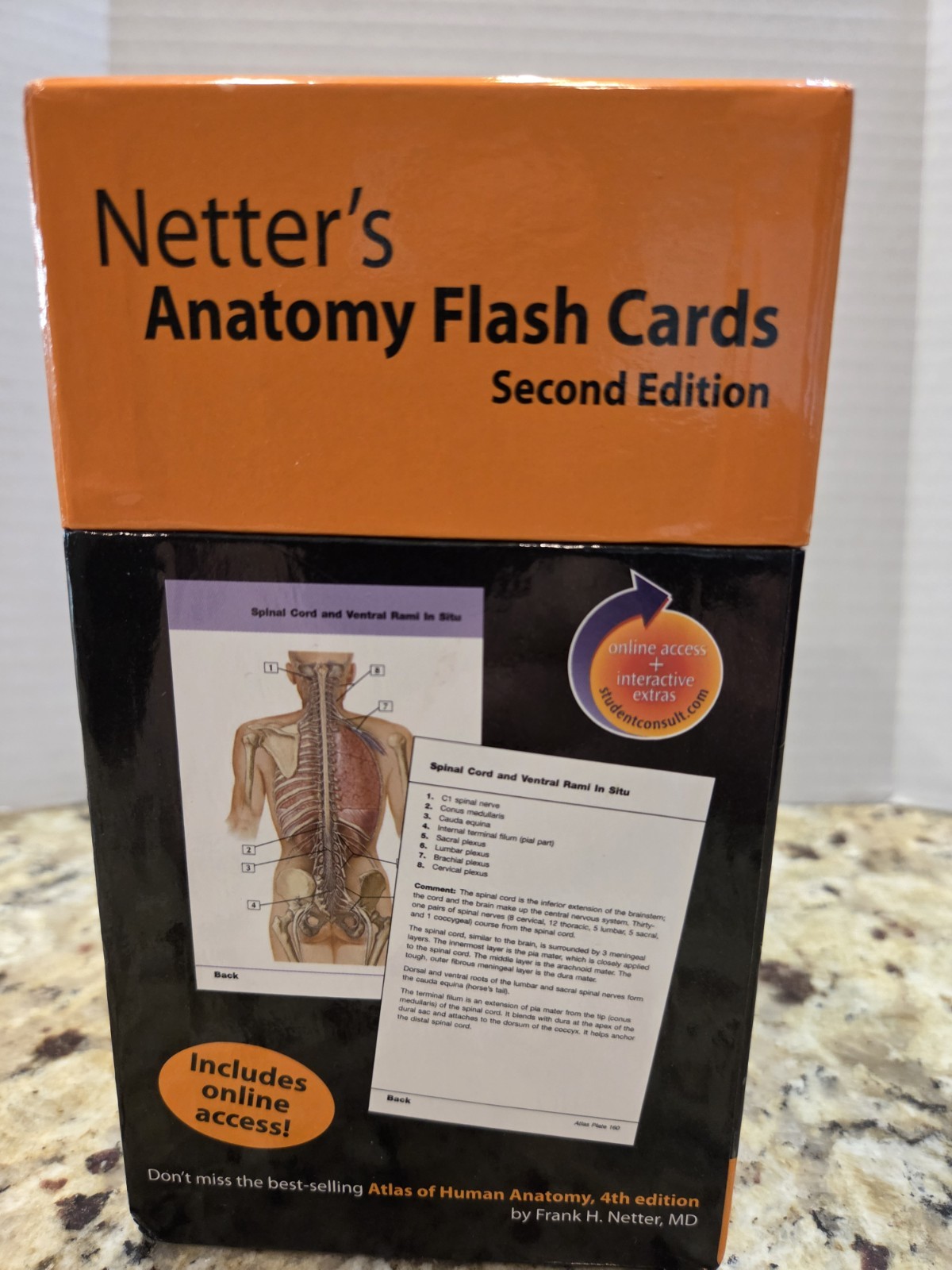 Netter’s Anatomy Flash Cards Second Edition John T. Hansen Head Neck Back Study