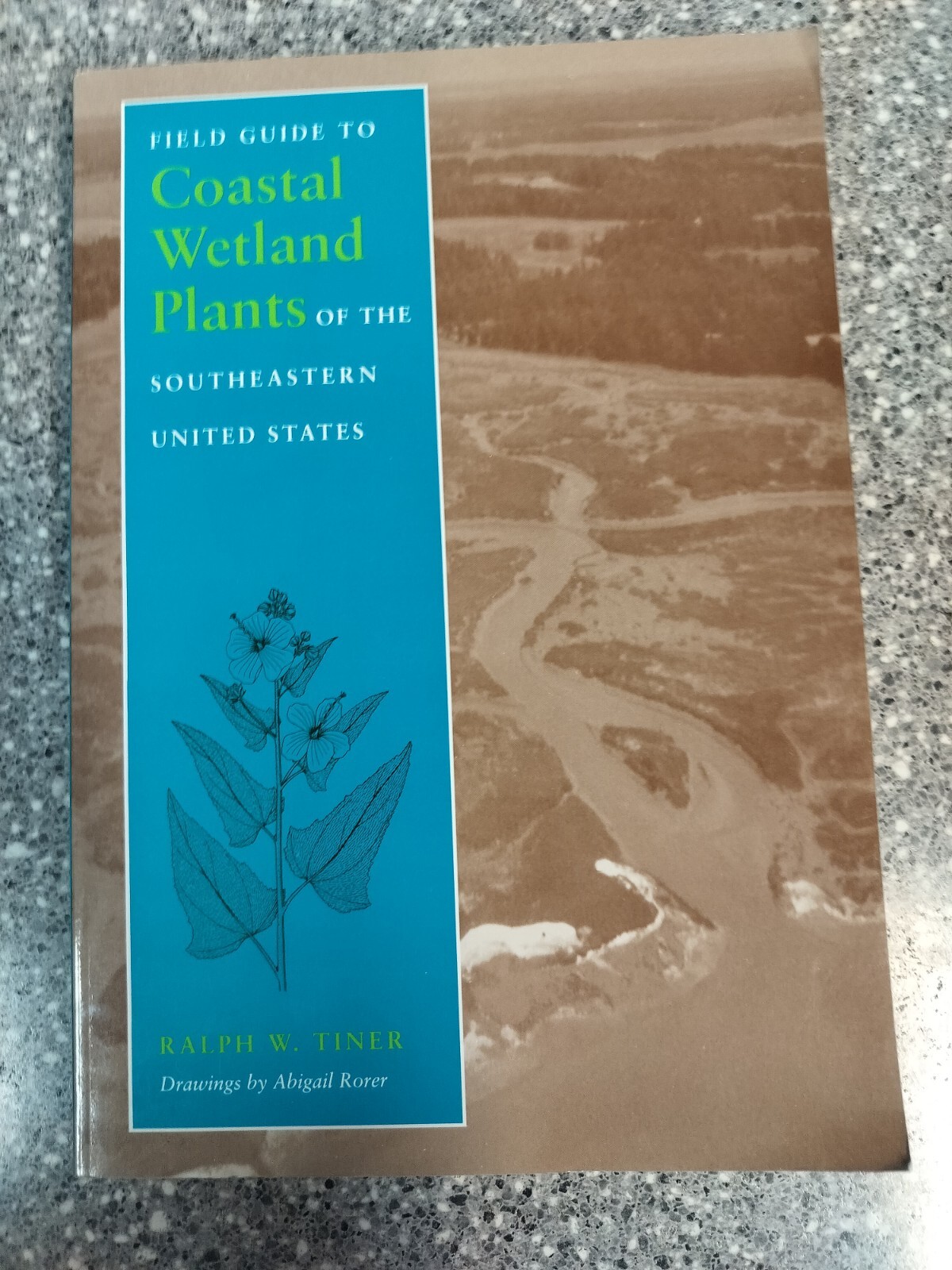 Field Guide to Coastal Wetland Plants of the Southeastern United States, Pape…