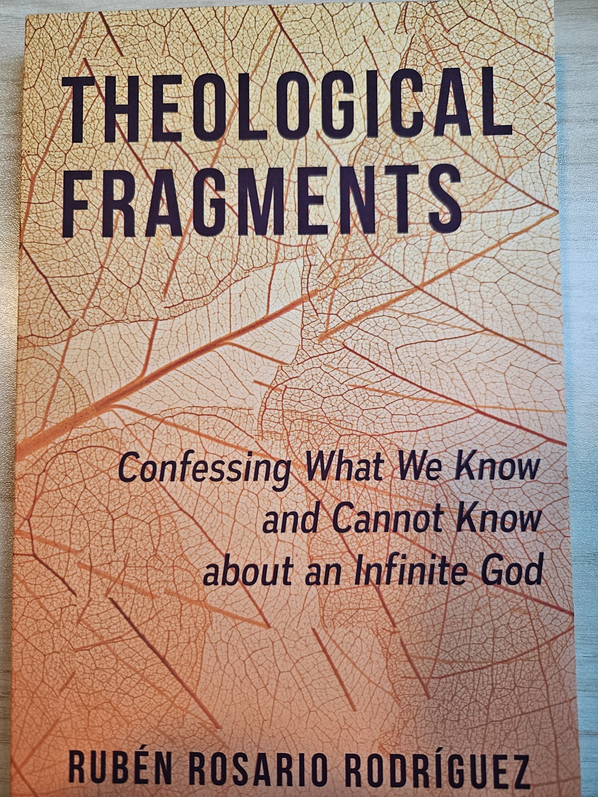 Theological Fragments ~ Paperback ~ by Rodriguez Ruben Rosario – New