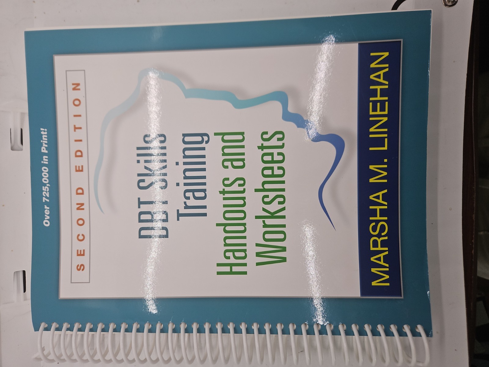 DBT Skills Training Handouts and Worksheets by Marsha M. Linehan (2014, Trade…