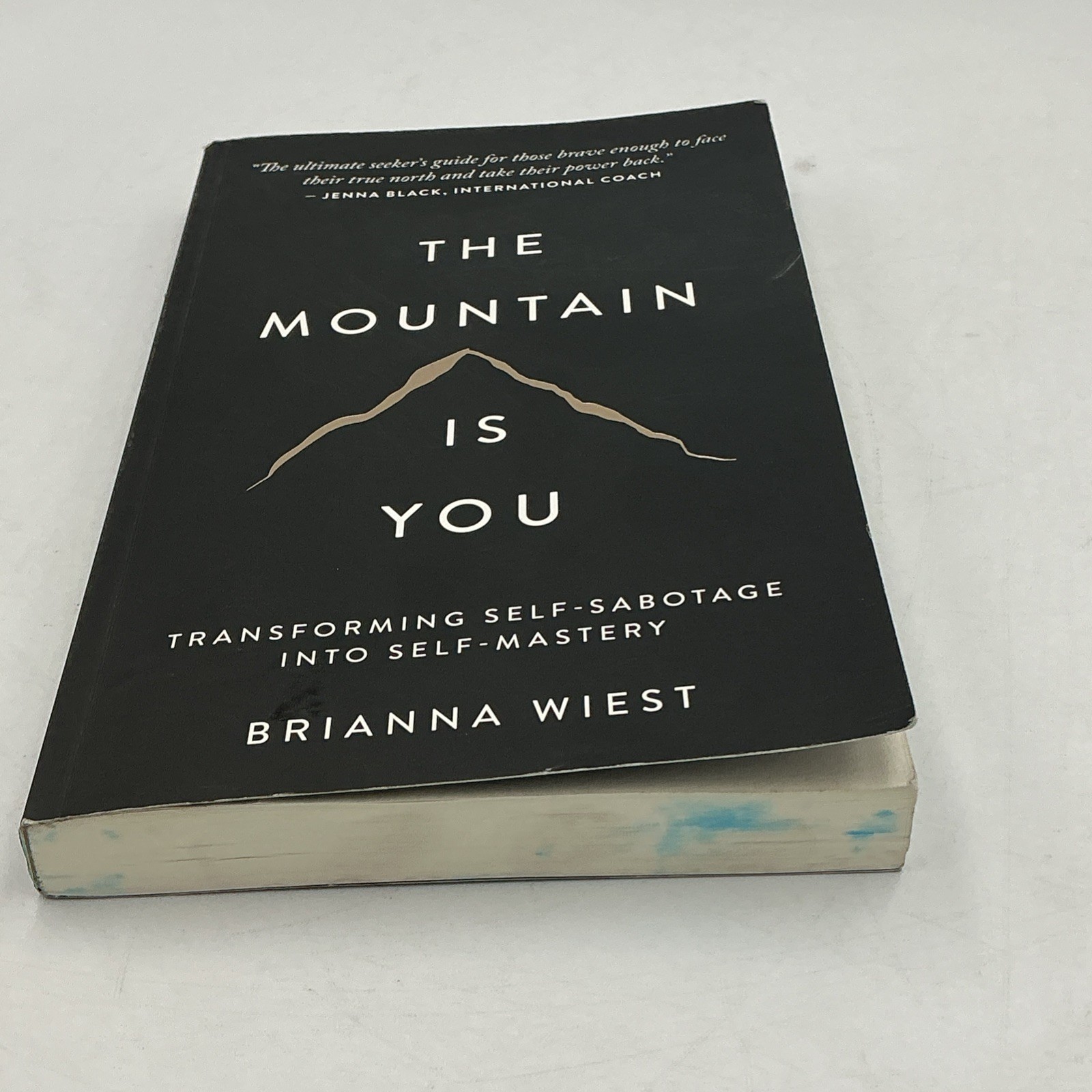 THE MOUNTAIN IS YOU BY BRIANNA WIEST PAPERBACK 2020