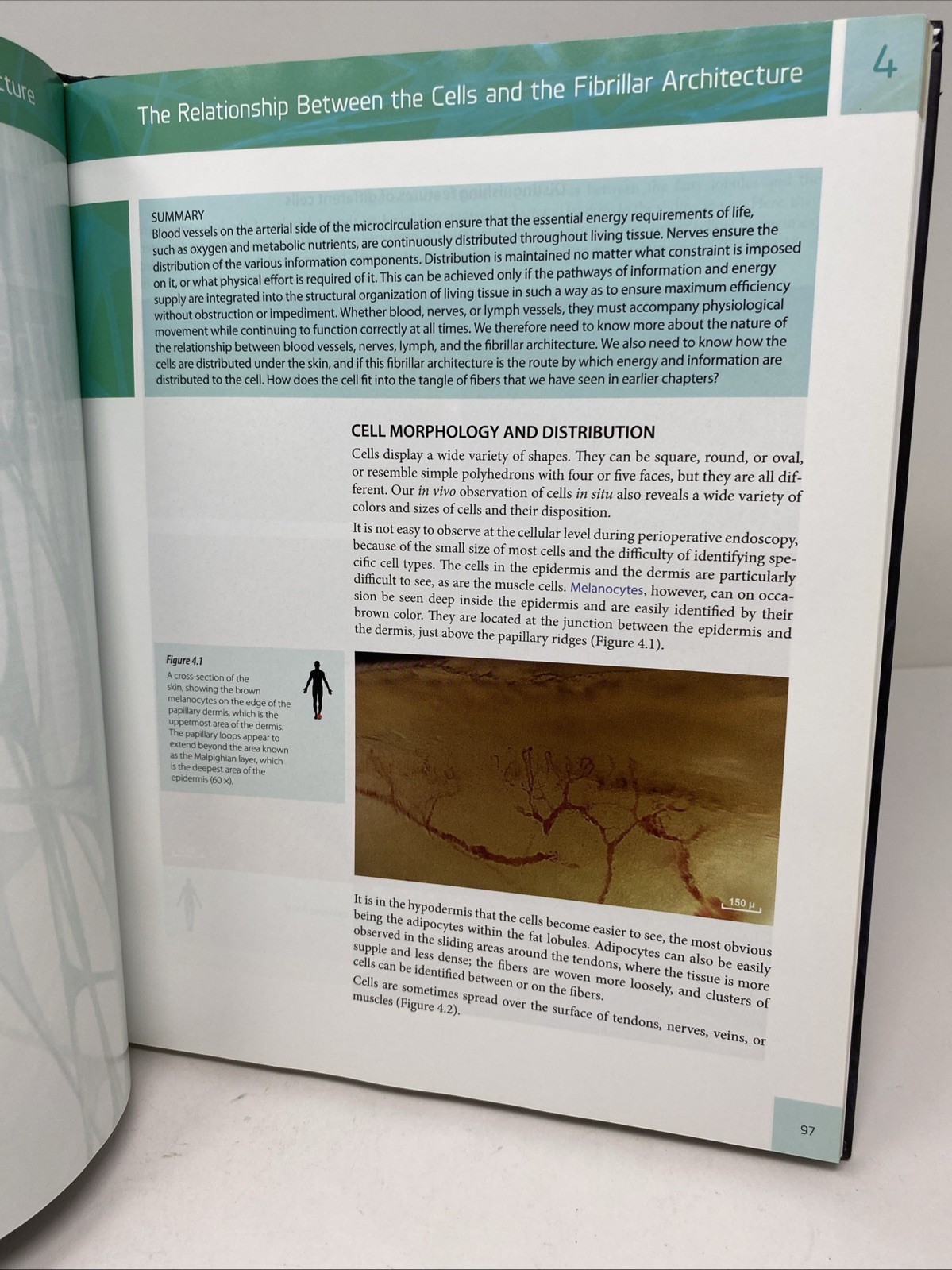 Architecture of Human Living Fascia (2015, Hardcover + DVD, Clean Pages)