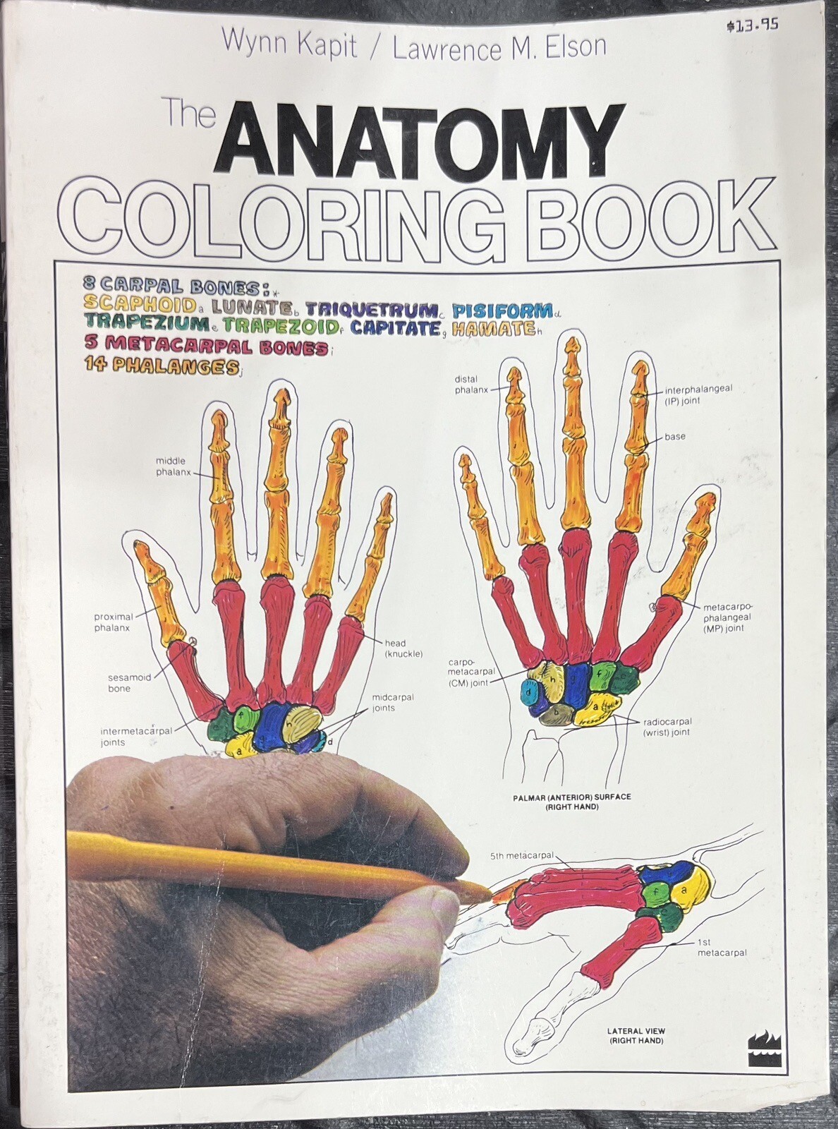 The Anatomy Coloring Book by Lawrence M. Elson and Wynn Kapit (Trade Paperback)