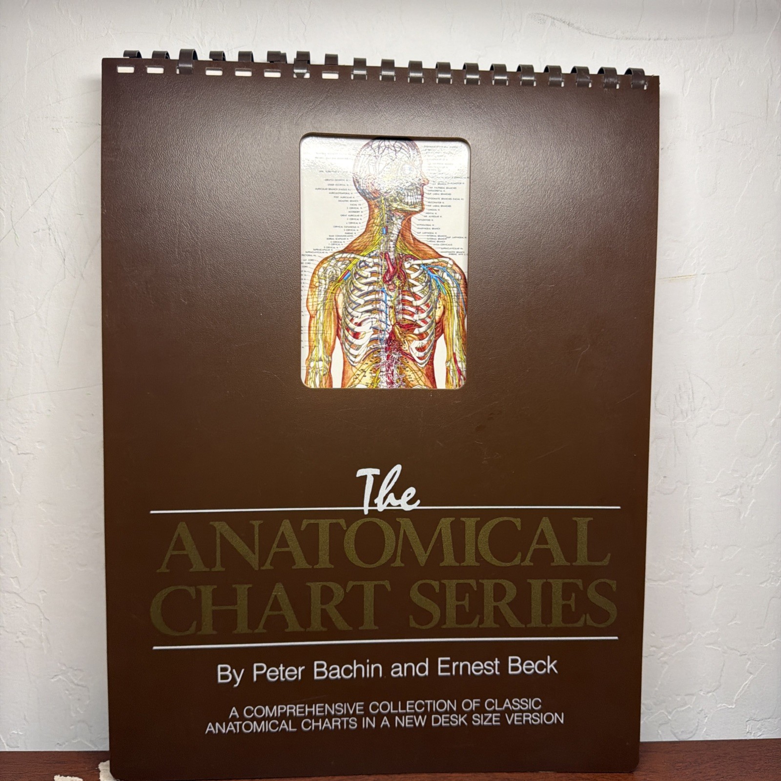 The Anatomical Chart Series By Peter Bachin And Ernest Beck – Desk Size Version