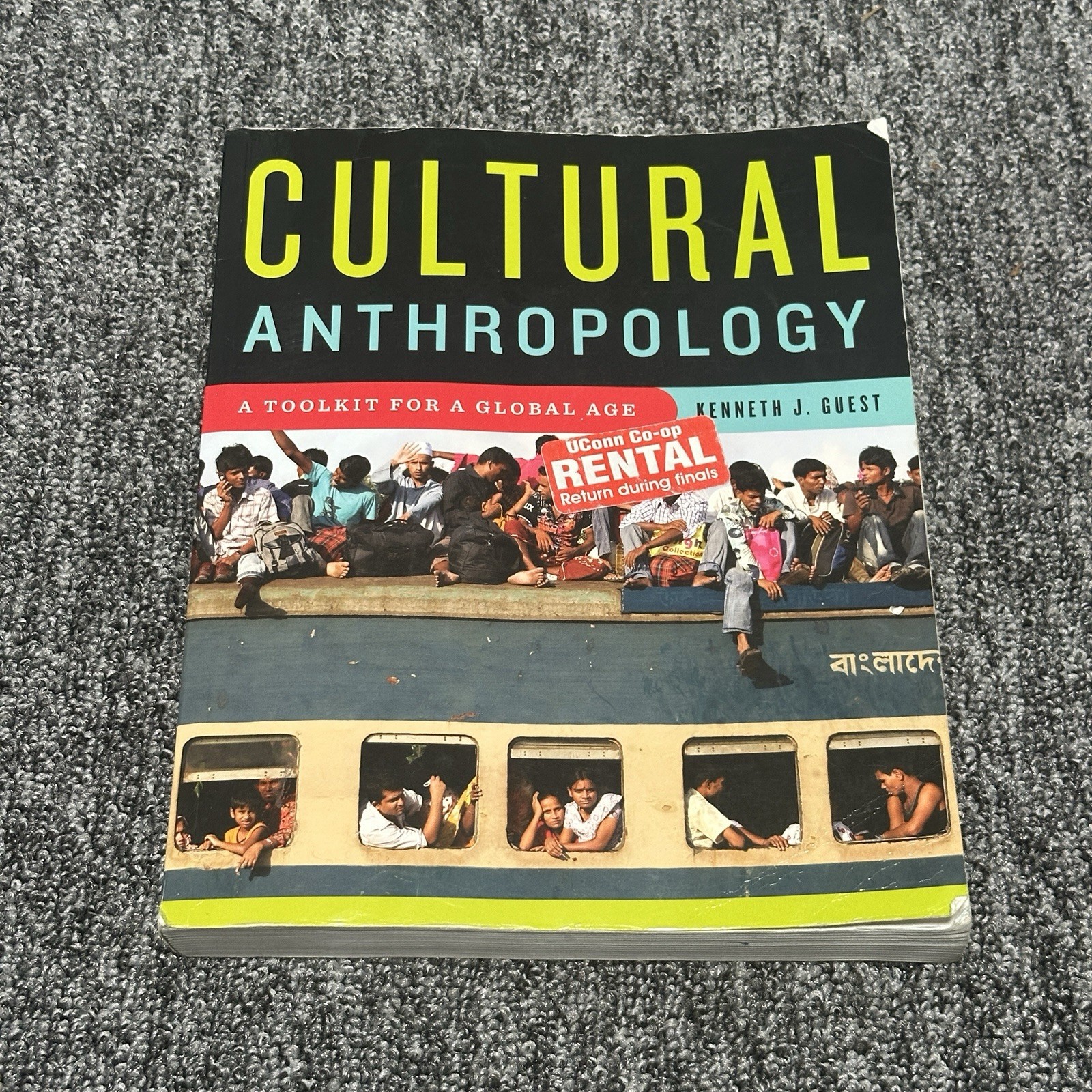 Cultural Anthropology : A Toolkit for a Global Age by Kenneth J. Guest (2013,…