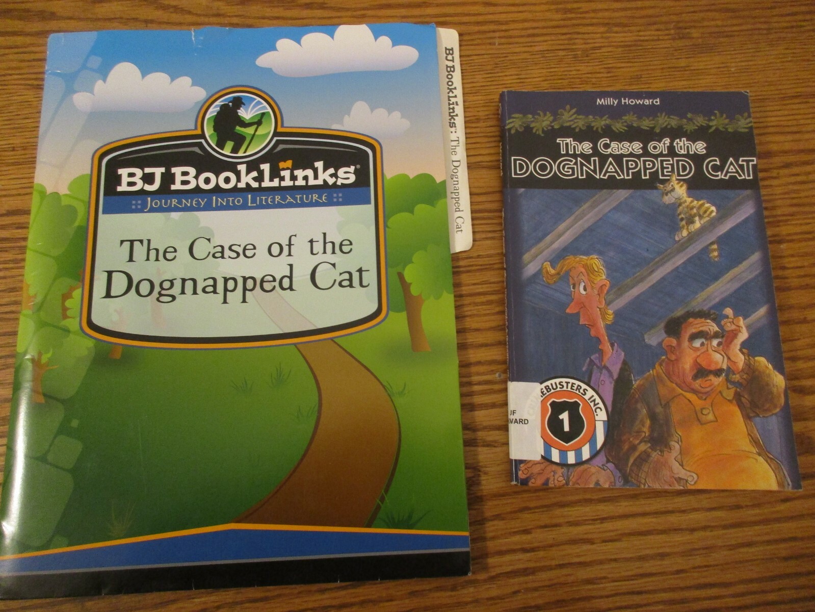 BJU Booklinks The Case of the Dognapped Cat