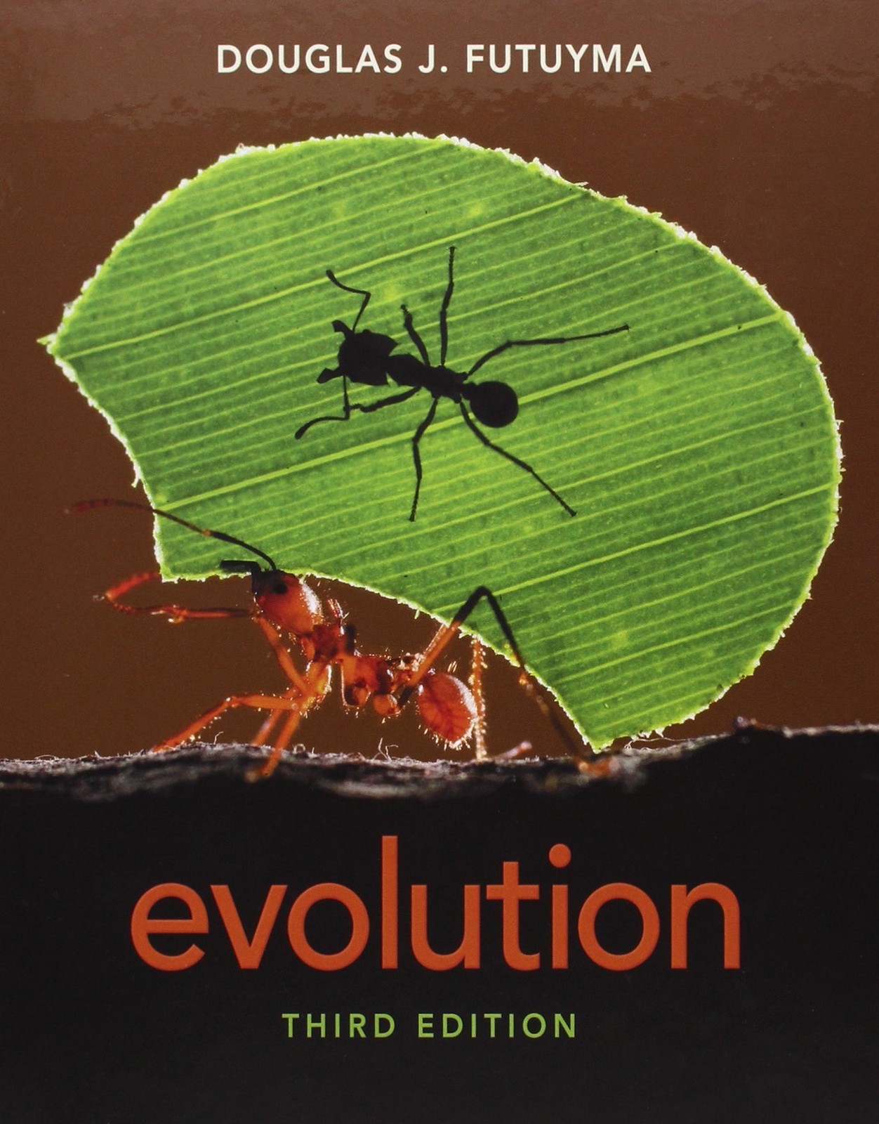 Evolution