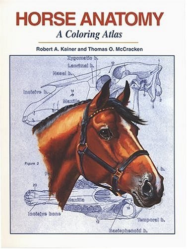 Horse Anatomy : A Coloring Atlas