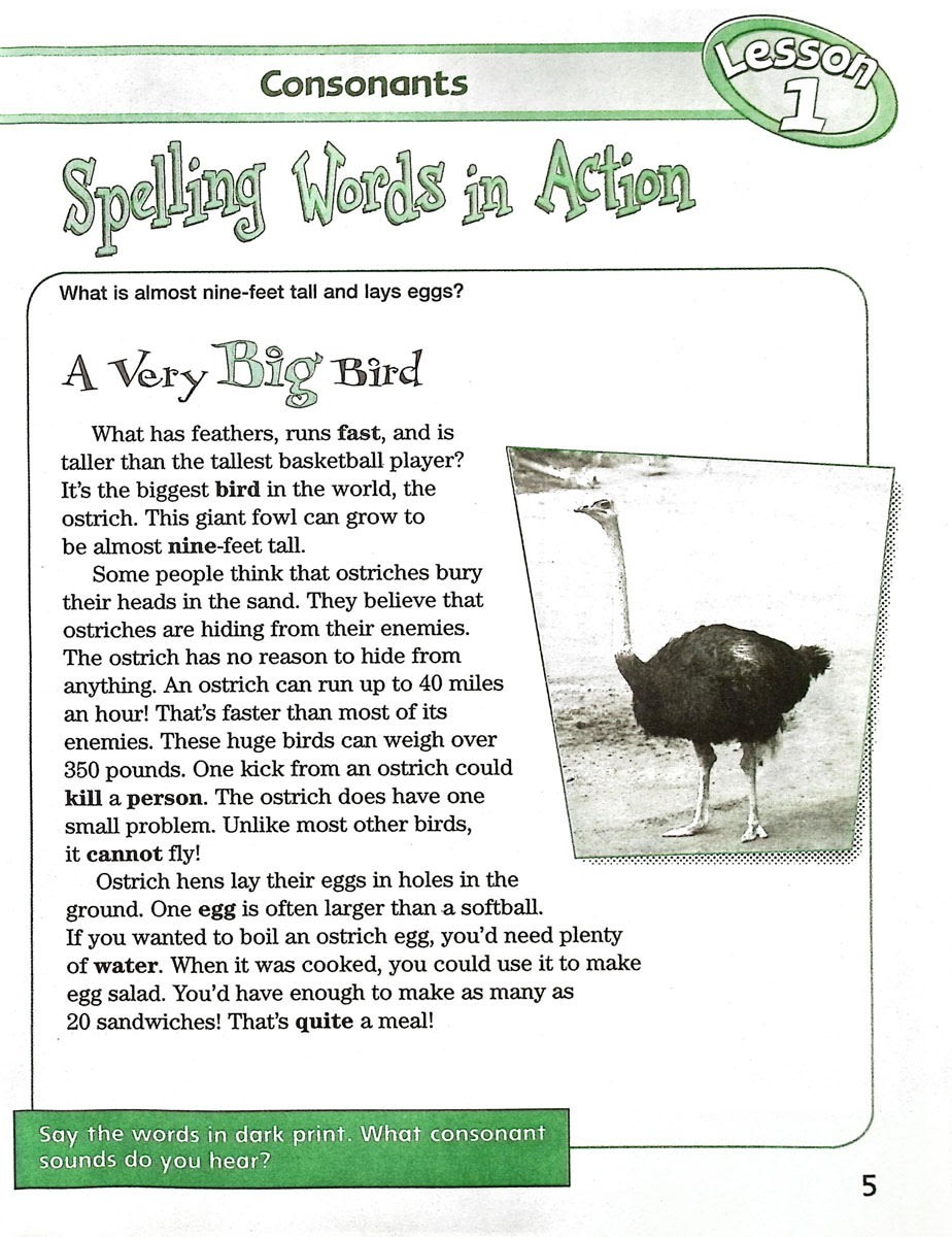 3rd Grade 3 MCP Spelling Workout Level C Modern Curriculum Press Student Edition