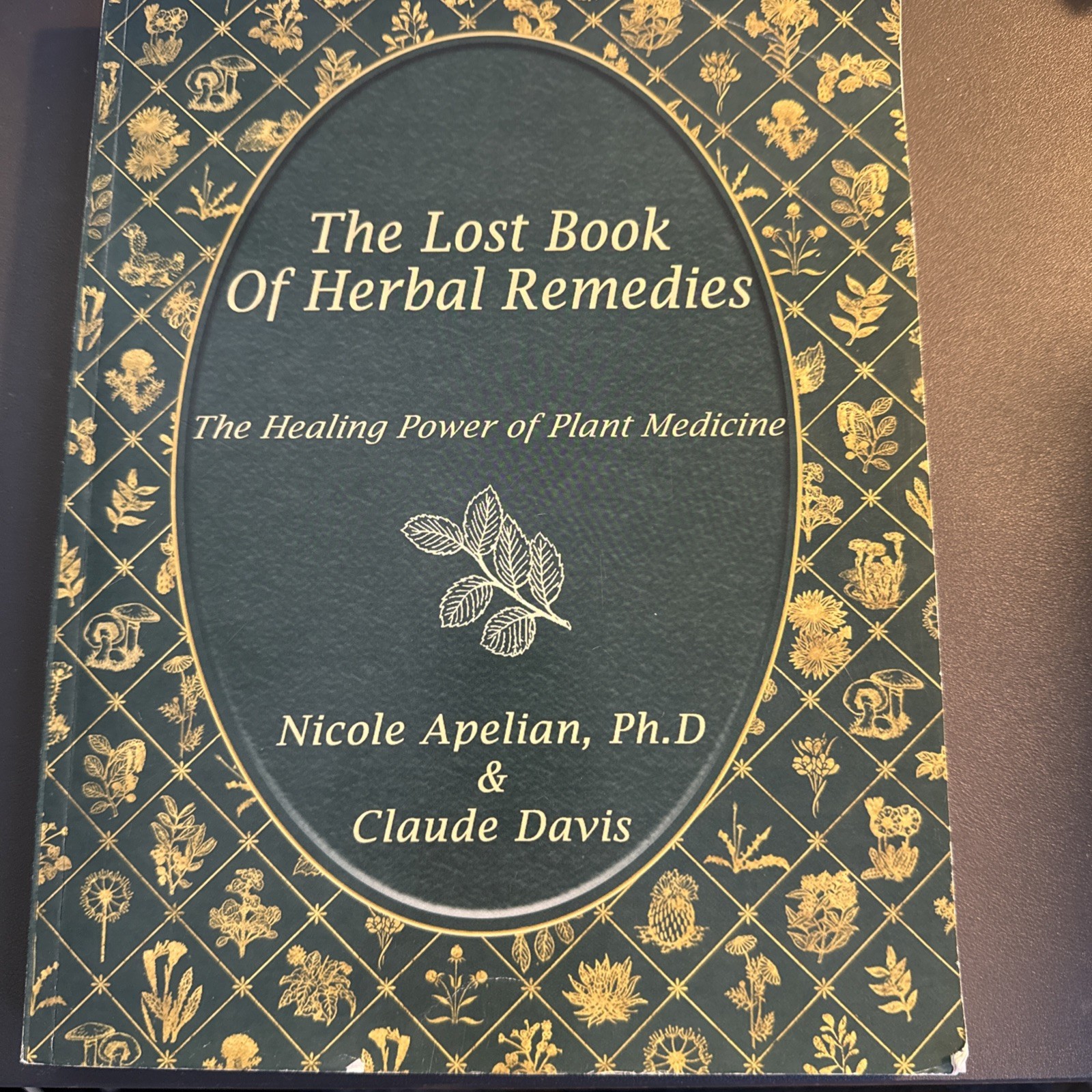The Lost Book of Herbal Remedies