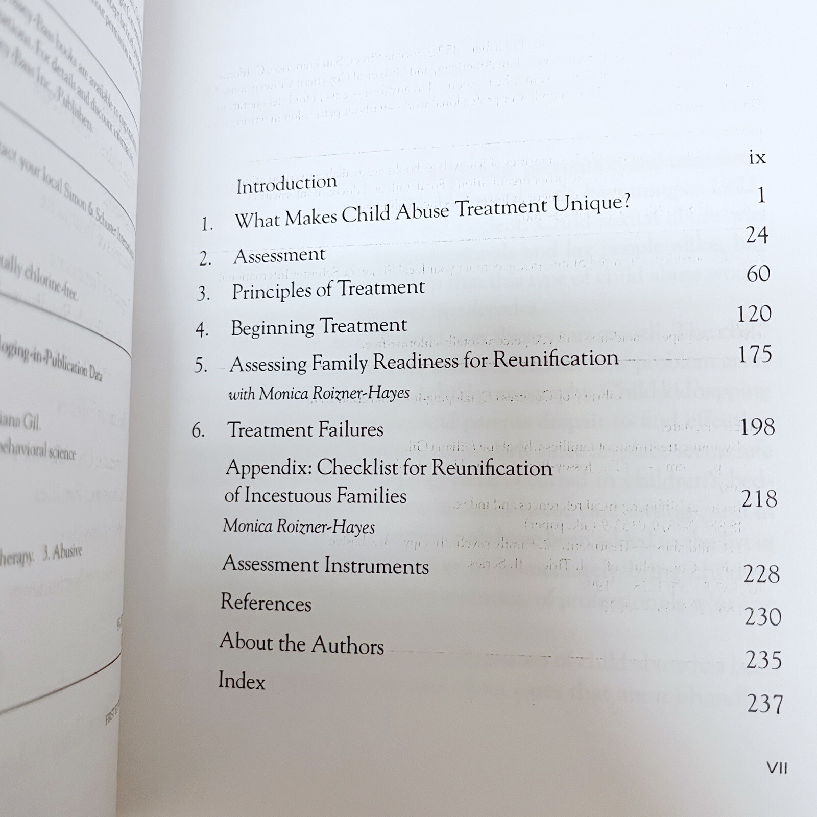 Systemic Treatment of Families Who Abuse by Gil Eliana