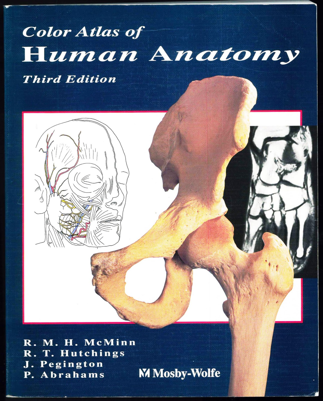 A Colour Atlas of Human Anatomy (McMinn’s Color Atlas of Human Anatomy)