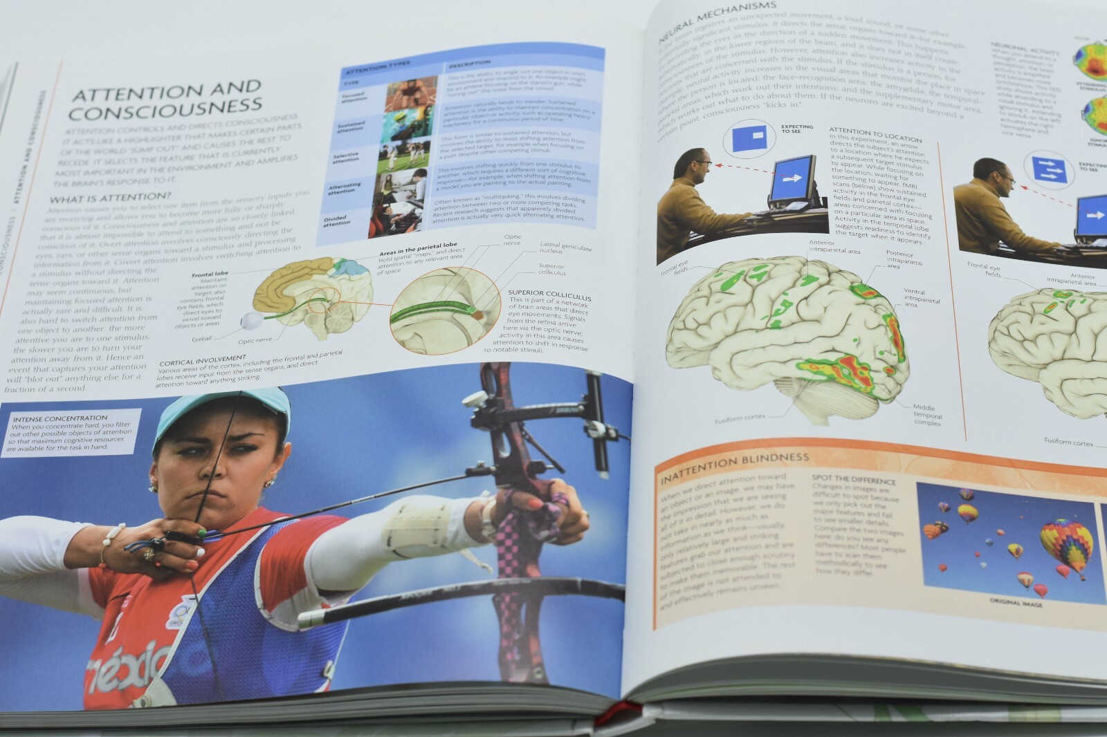 The Human Brain Book by Rita Carter. Hardcover book with SEALED DVD!!! FREE SHIP