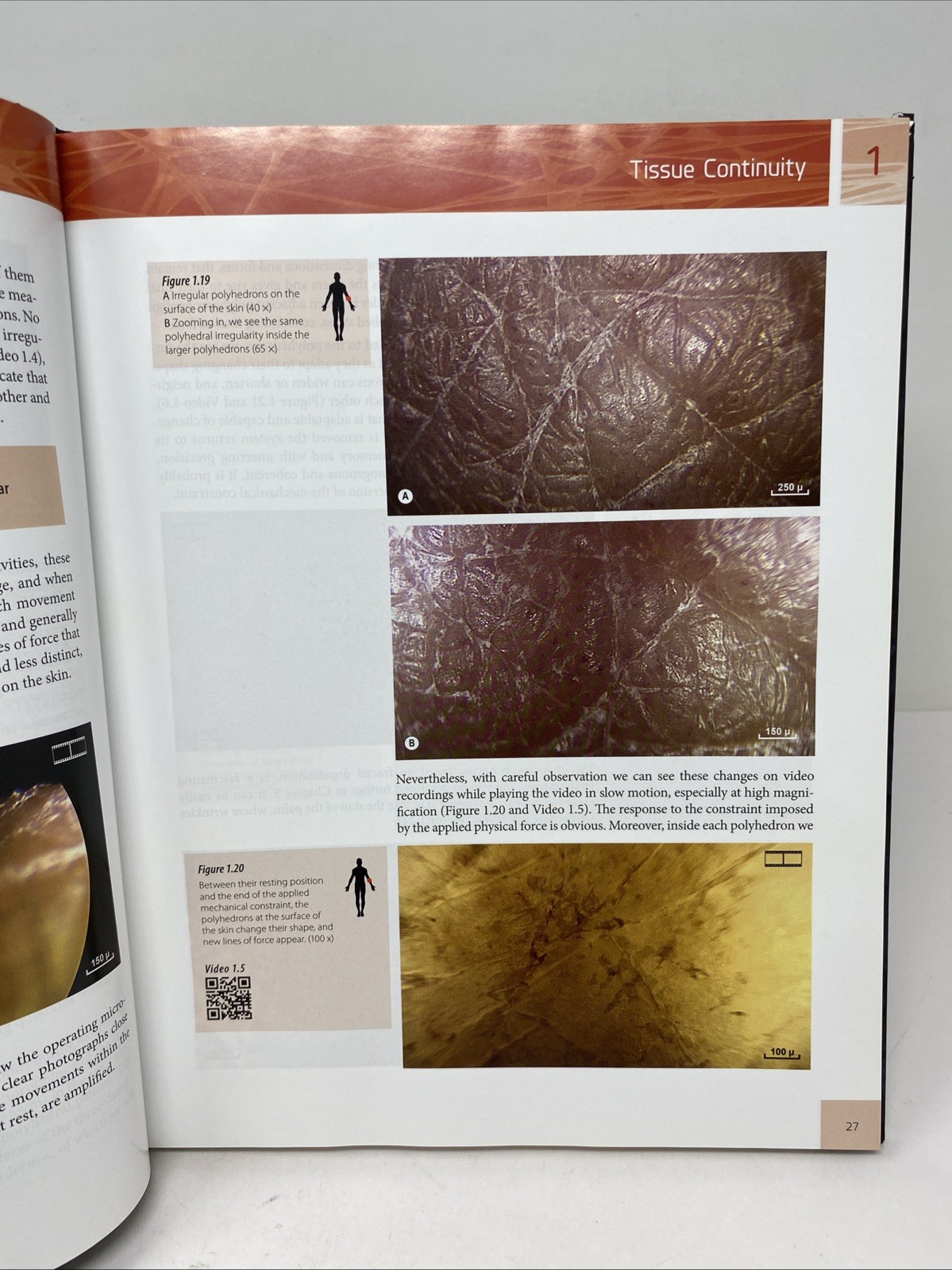 Architecture of Human Living Fascia (2015, Hardcover + DVD, Clean Pages)