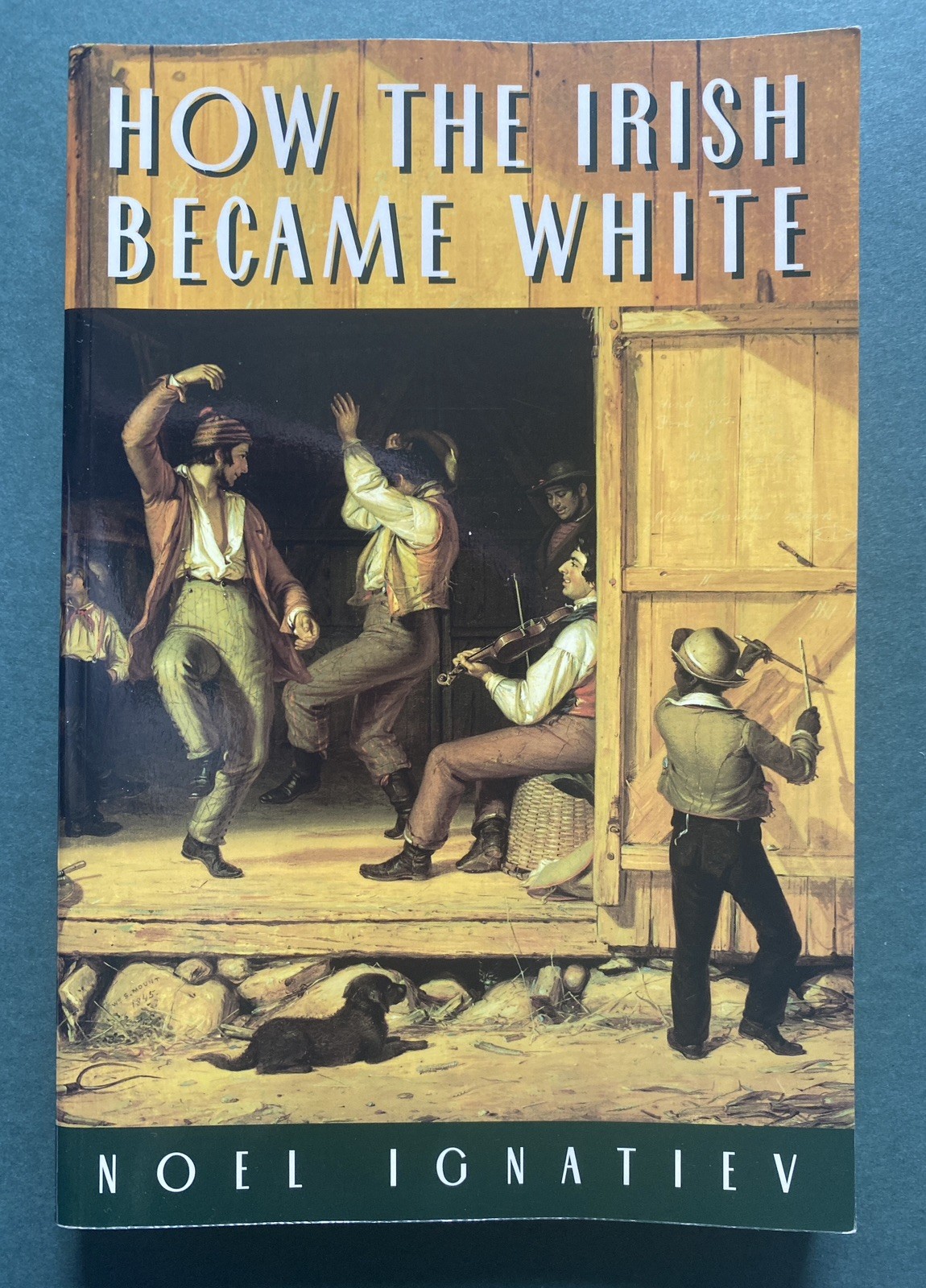How the Irish Became White by Noel Ignatiev Paperback – Like-New – Fast Shipping