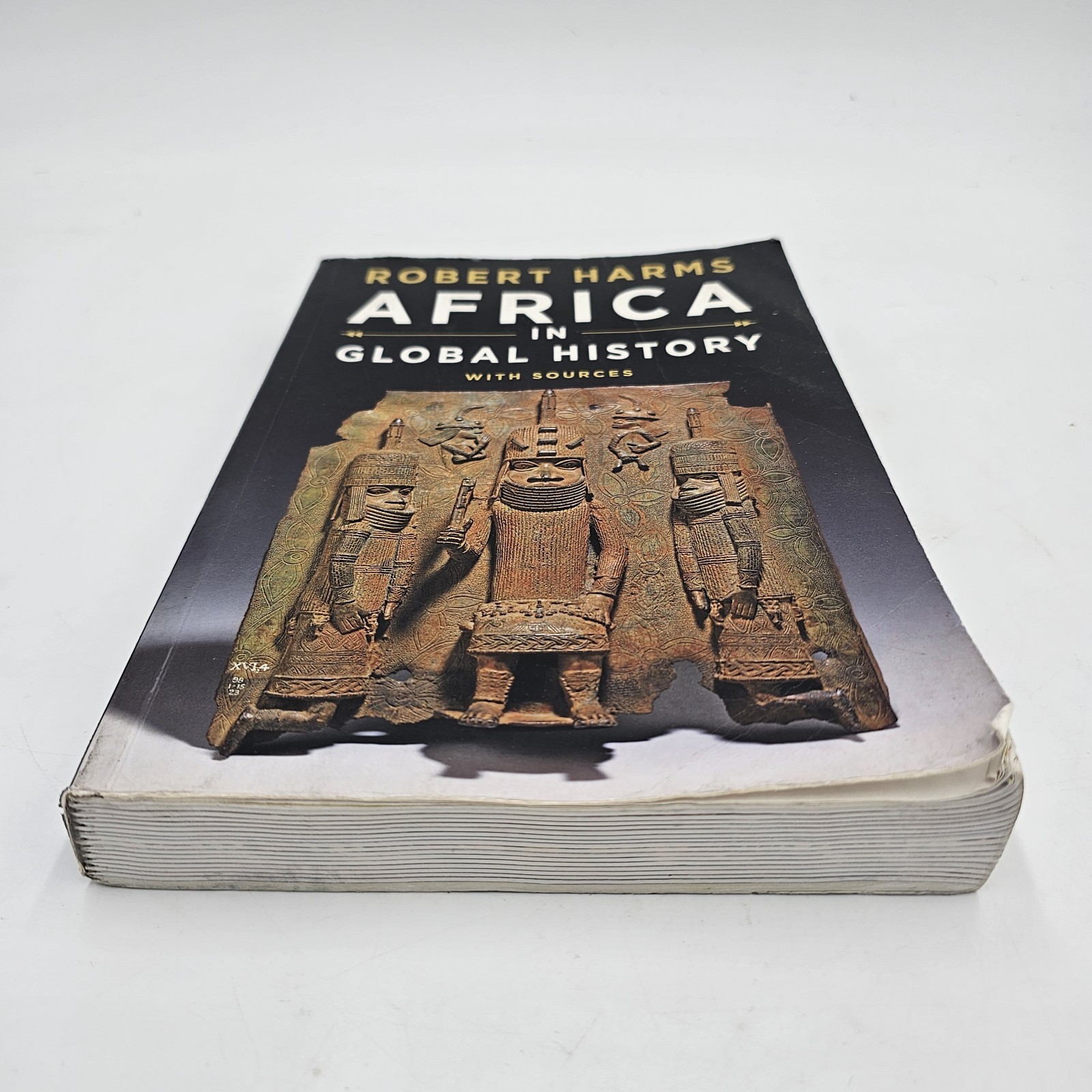 Africa in Global History by Harms | 1st Ed African World History Txtbook PB GOOD