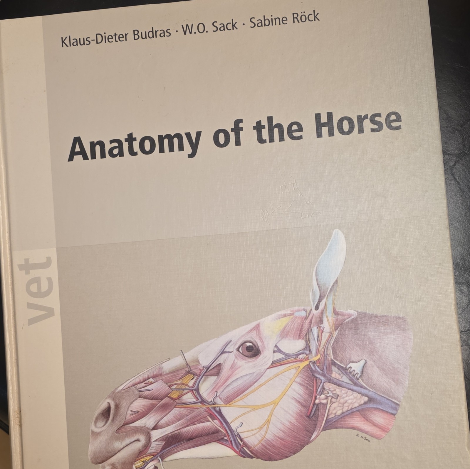 Anatomy of the Horse 5th Ed Hardcover 2012 Budras Sack Röck English