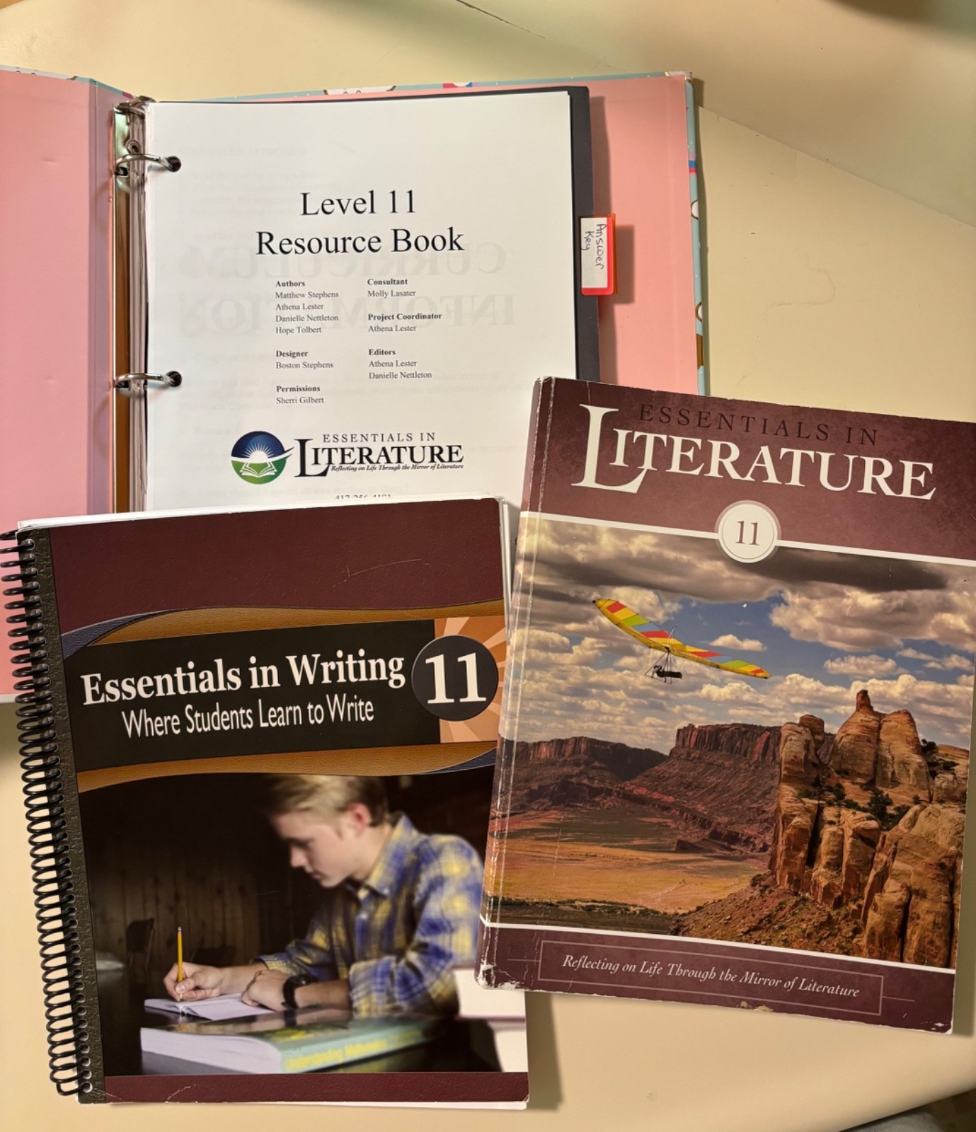 Essentials in Literature and Essentials in Writing 11th grade