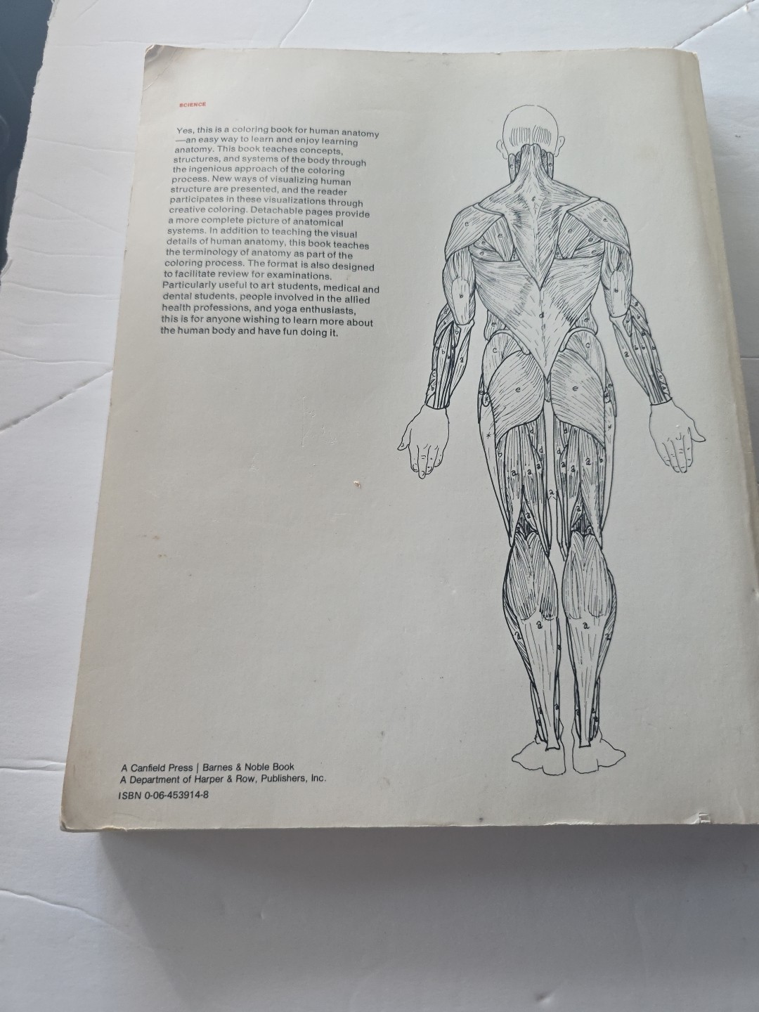 The Anatomy Coloring Book – Paperback By Kapit, Wynn – GOOD