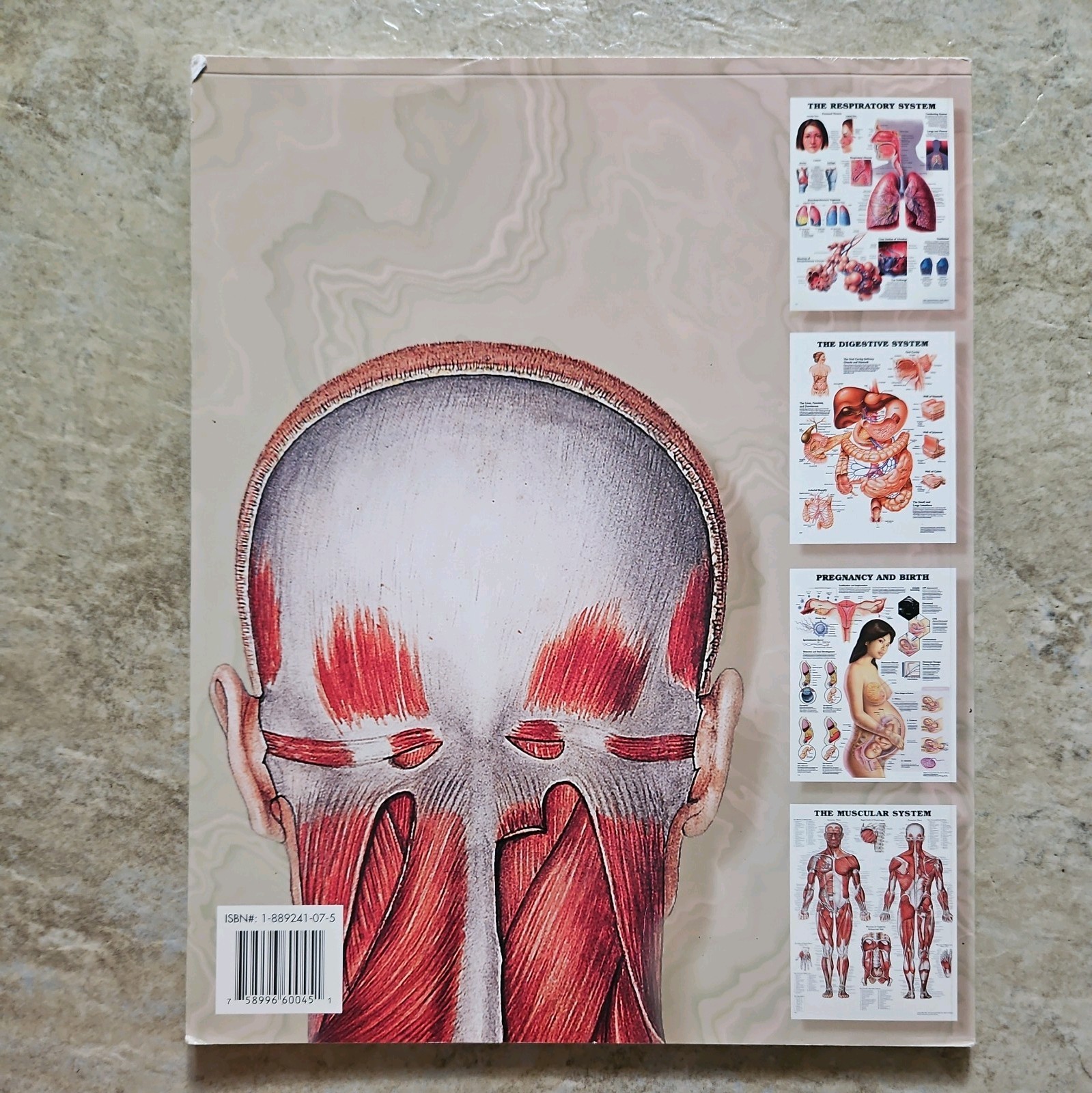 Systems & Structures : The World’s Best Anatomical Charts Collection