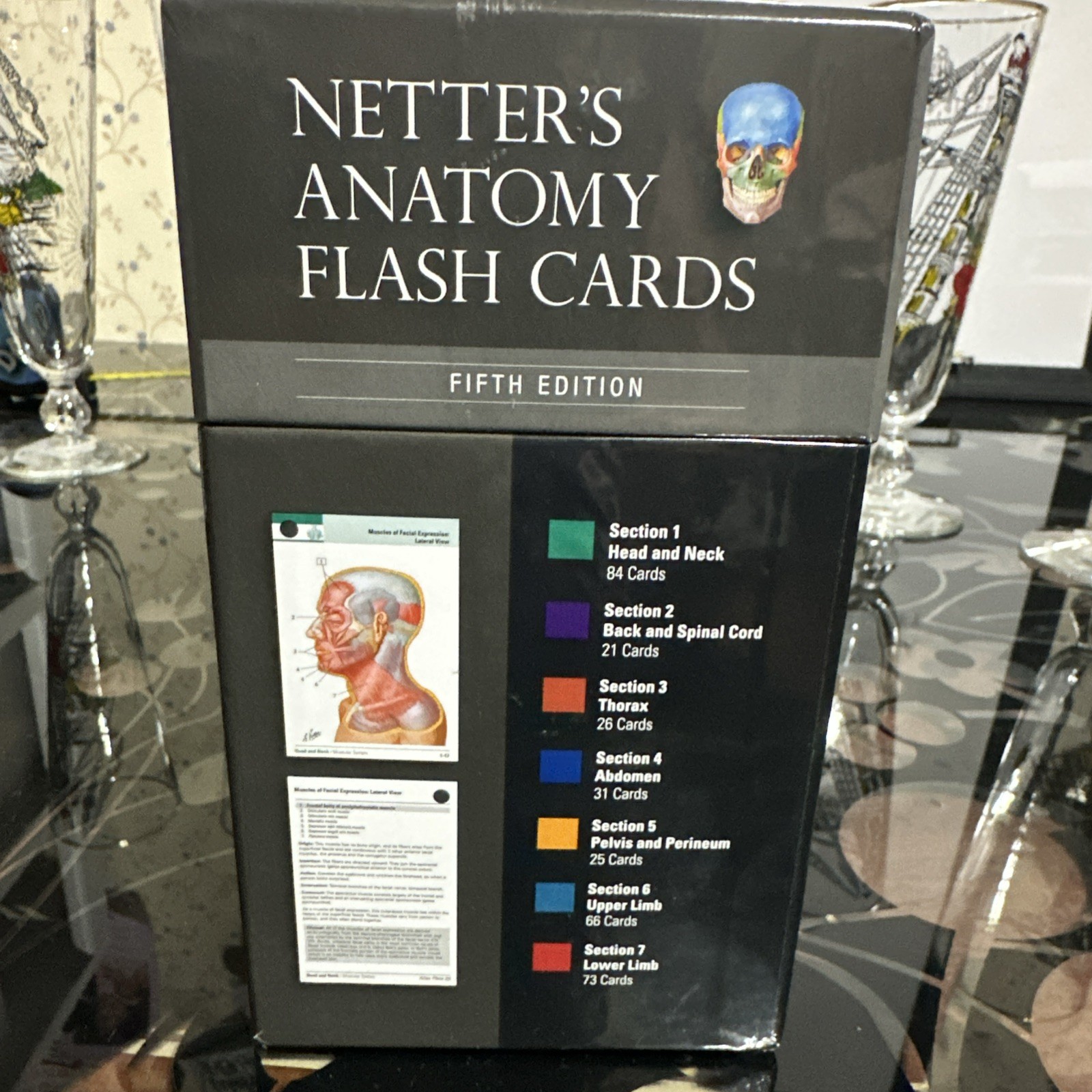 Netter Basic Science Anatomy Flash Cards by John T. Hansen 5th Edition
