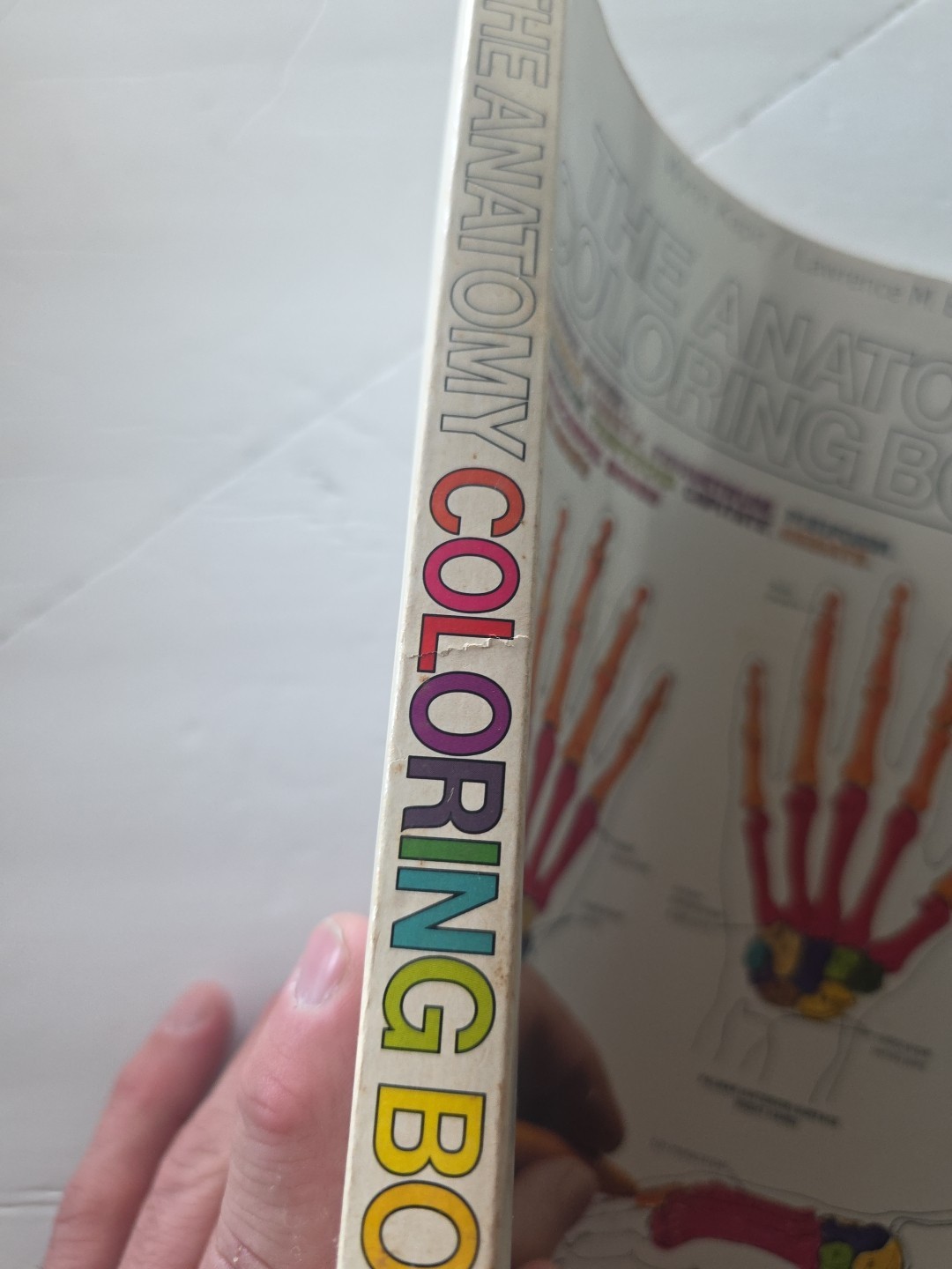 The Anatomy Coloring Book – Paperback By Kapit, Wynn – GOOD