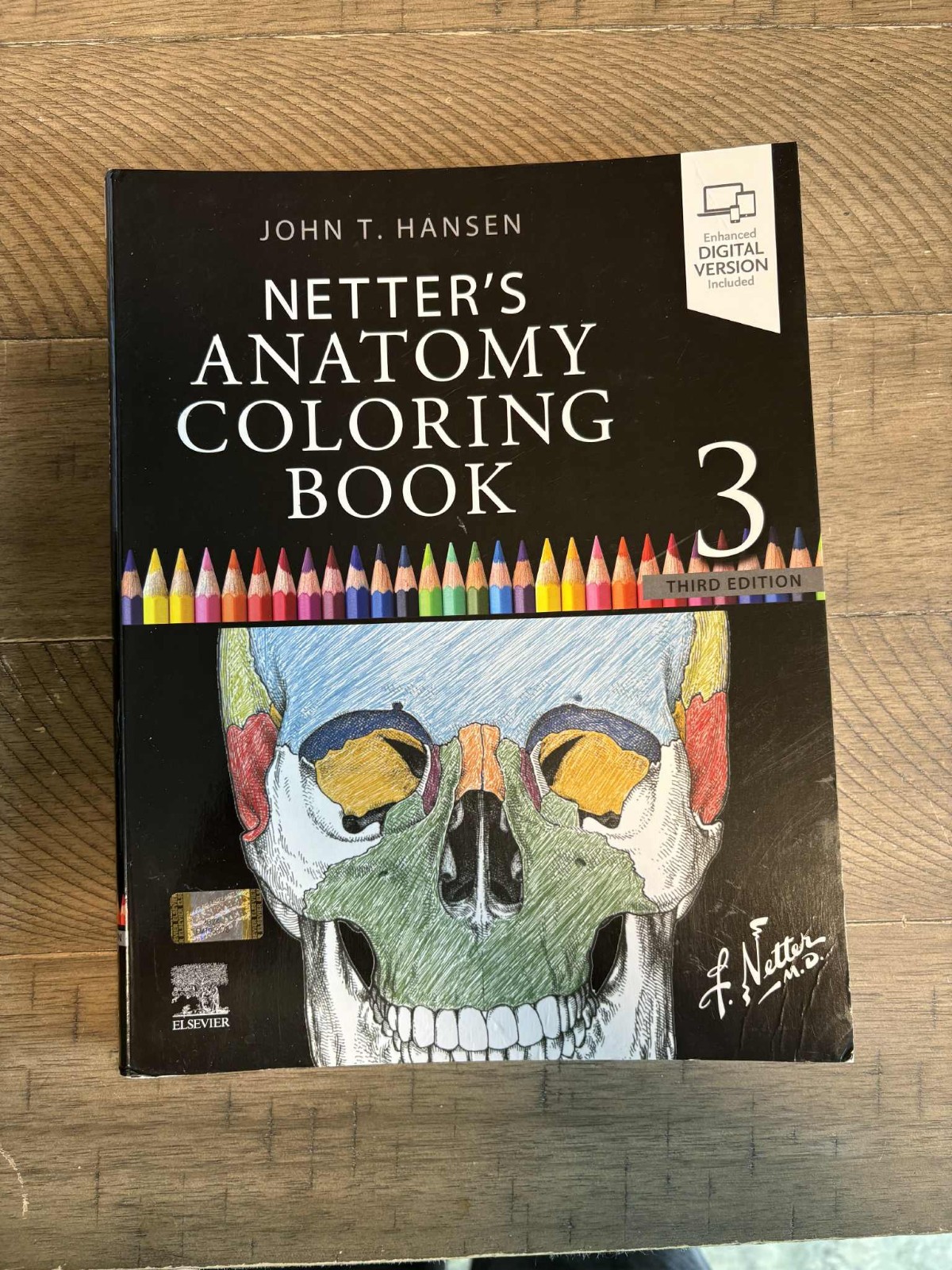 Netters Anatomy Coloring Book 3rd edition – Paperback – VERY GOOD
