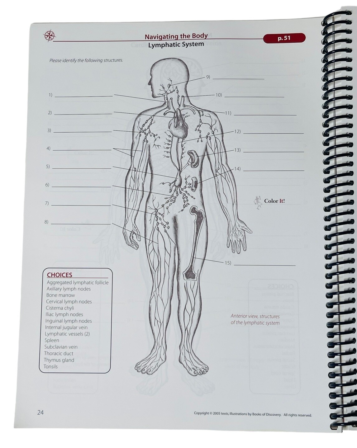 TRAIL GUIDE TO THE BODY STUDENT HANDBOOK ANDREW BIEL 2005 1st ED HANDS ON LEARN