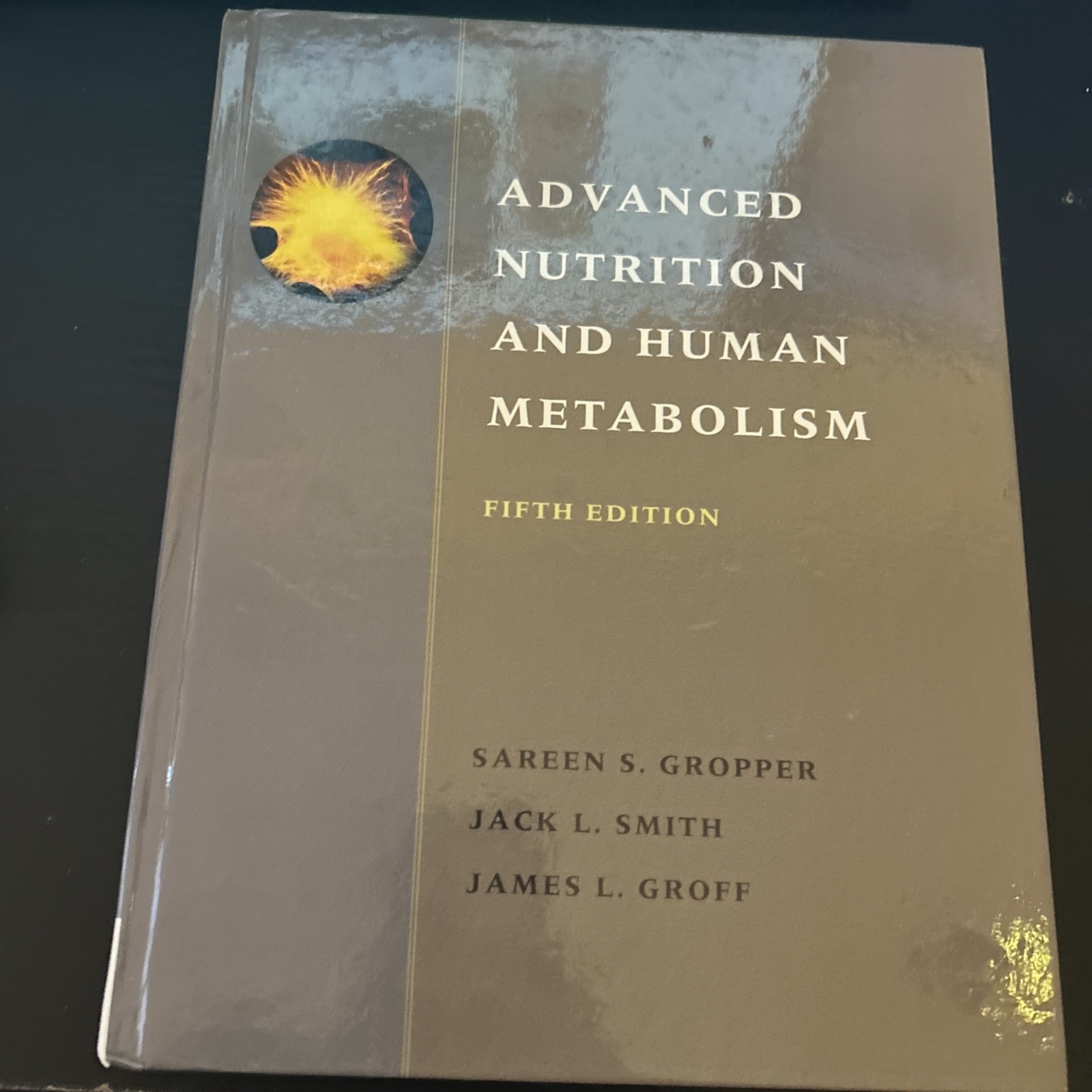 Advanced Nutrition and Human Metabolism by Sareen S. Gropper, Jack L. Smith and